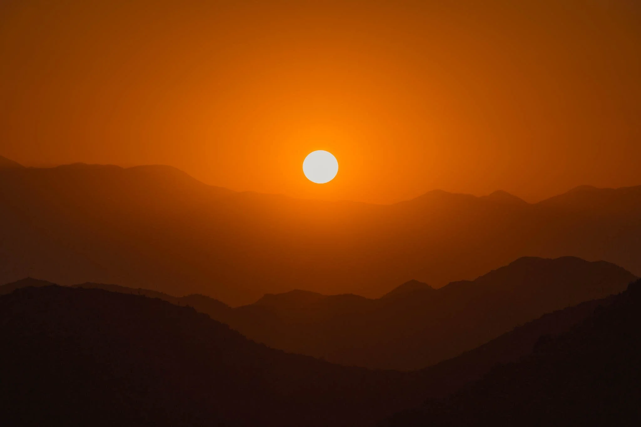 ETHEREAL SUNSET / JOSHUA TREE