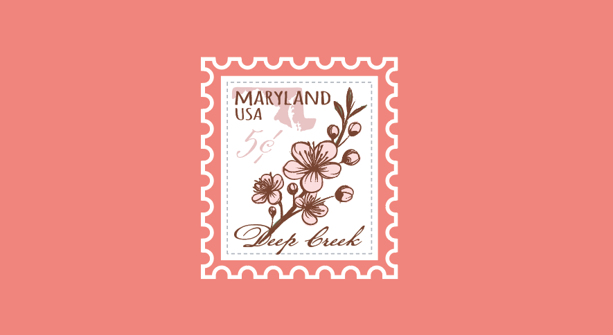 Floral Collection (Apparel)