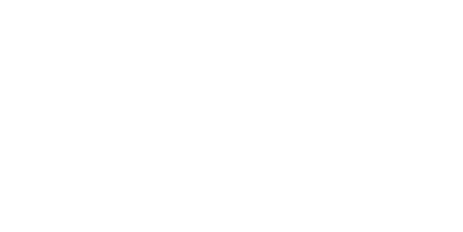 Frontier Executive Search