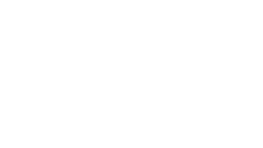 Frontier Executive Search