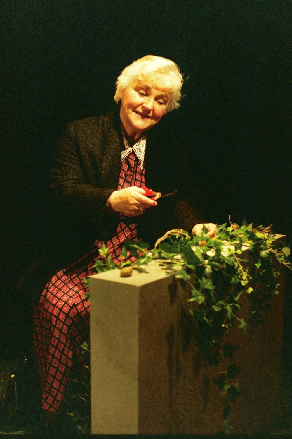 An elderly woman sitting and holding pruning shears, trimming a potted plant with green leaves and vines.