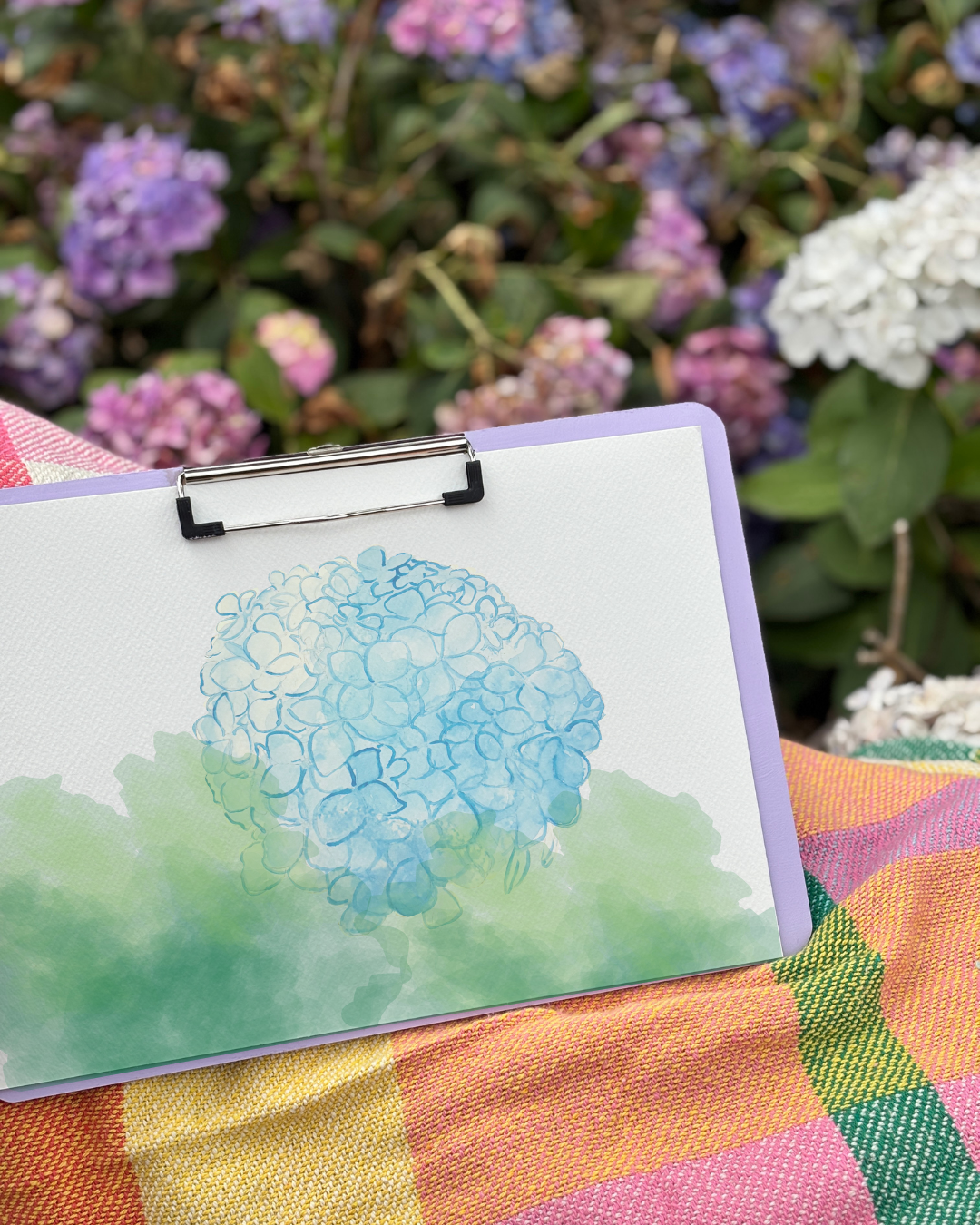 2026 January @ Ashcombe Maze (1) 3.PNG