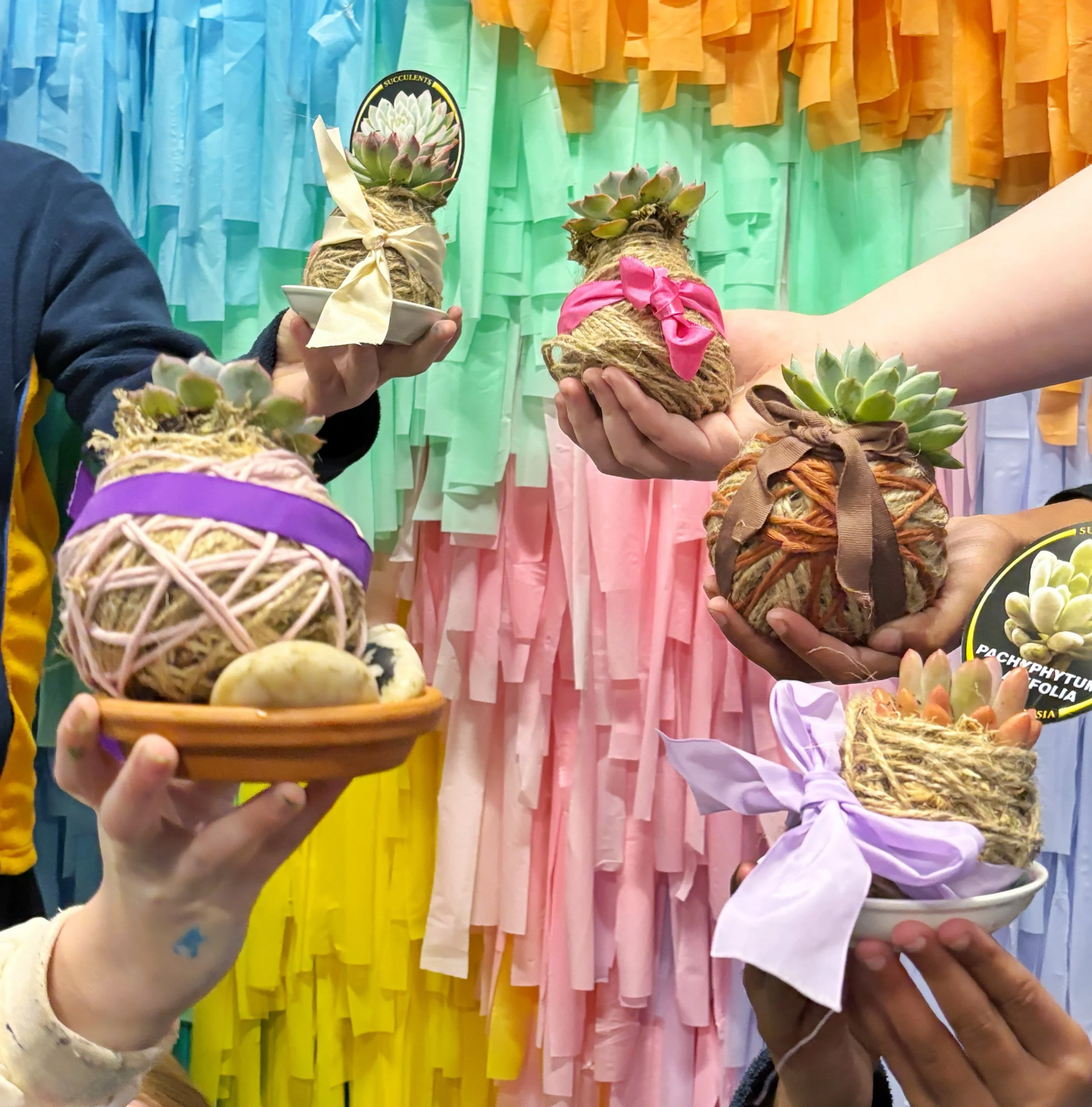 44019C10-2E40-4D3E-885C-C03BAE9B690E 3.JPG