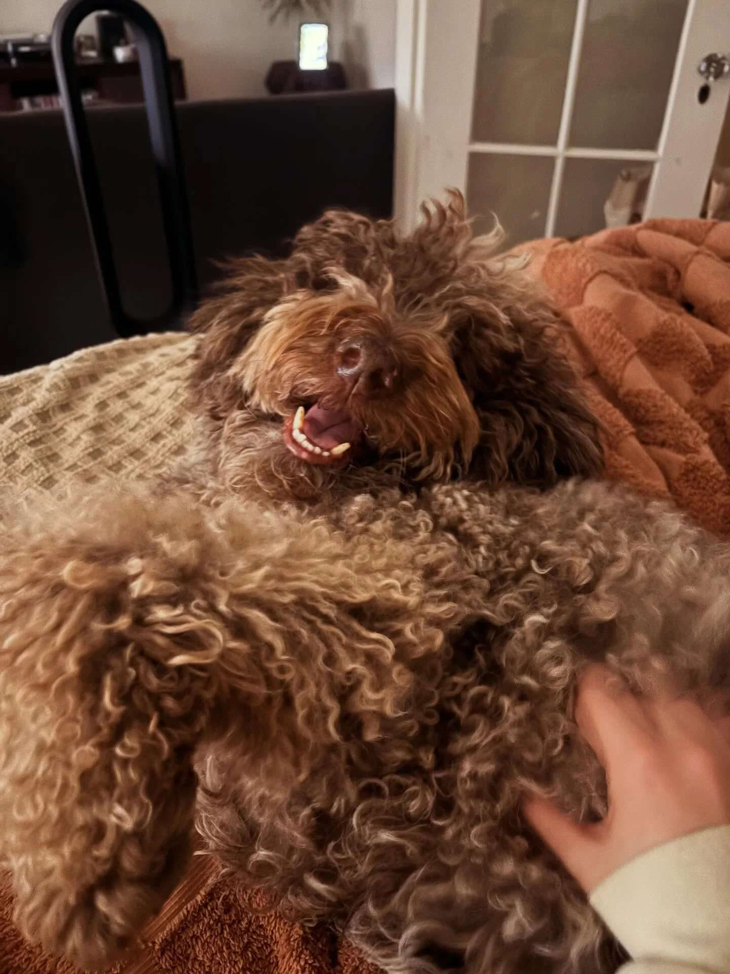 🐾 my face at 3am when I panicked that today was Friday and I didn&rsquo;t set an alarm 💀😱 but then realized it&rsquo;s 3am on SATURDAY 🎉😂🐾