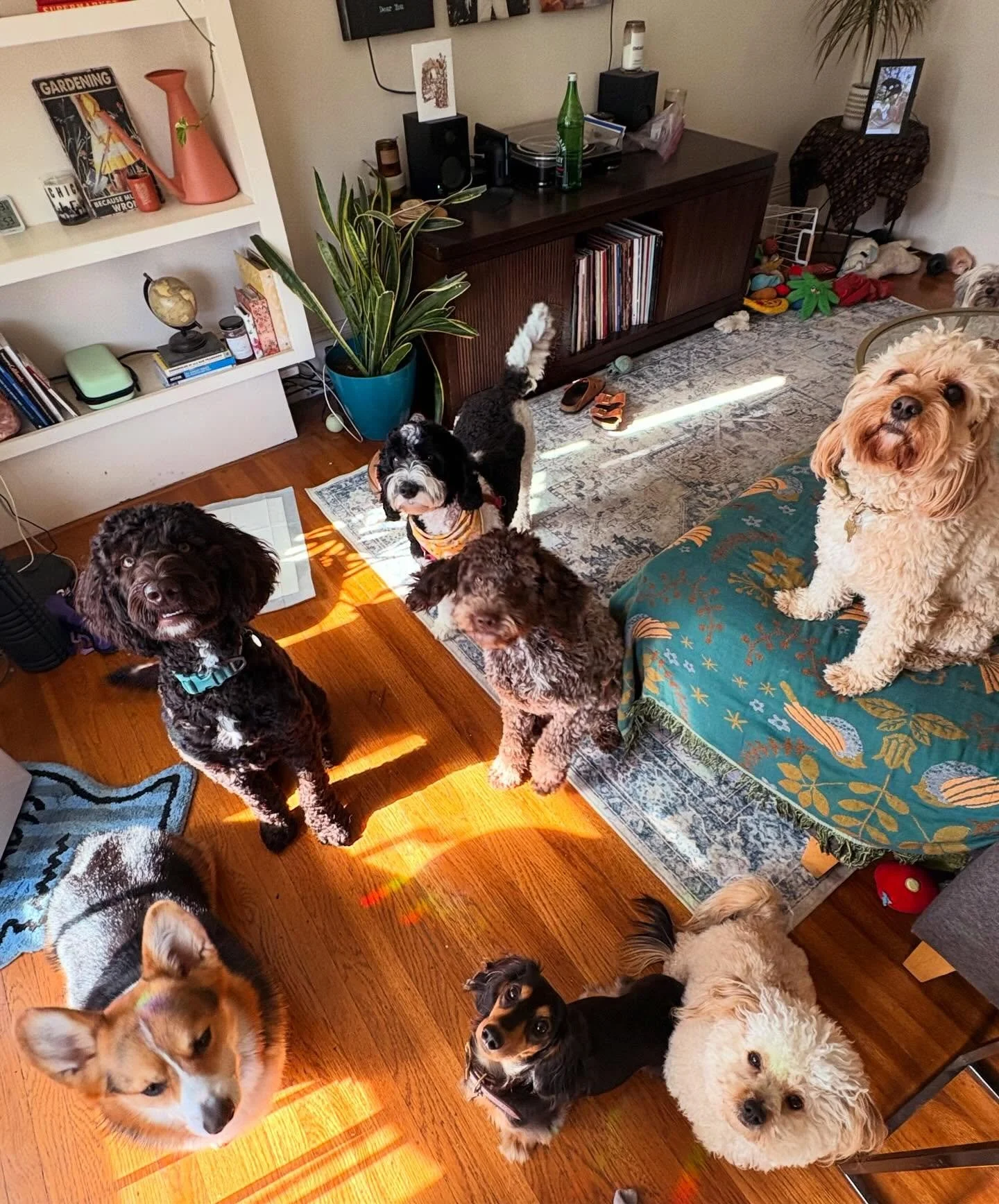 insta 🫦 vs reality 👄 🤣 - 

January has brought some new faces to the FP world! It&rsquo;s been so nice meeting all of my new friends that have joined us in the new year! Ladybug, Carl, Stanley and Mr. Norman, just to name a few! Seeing the new gen