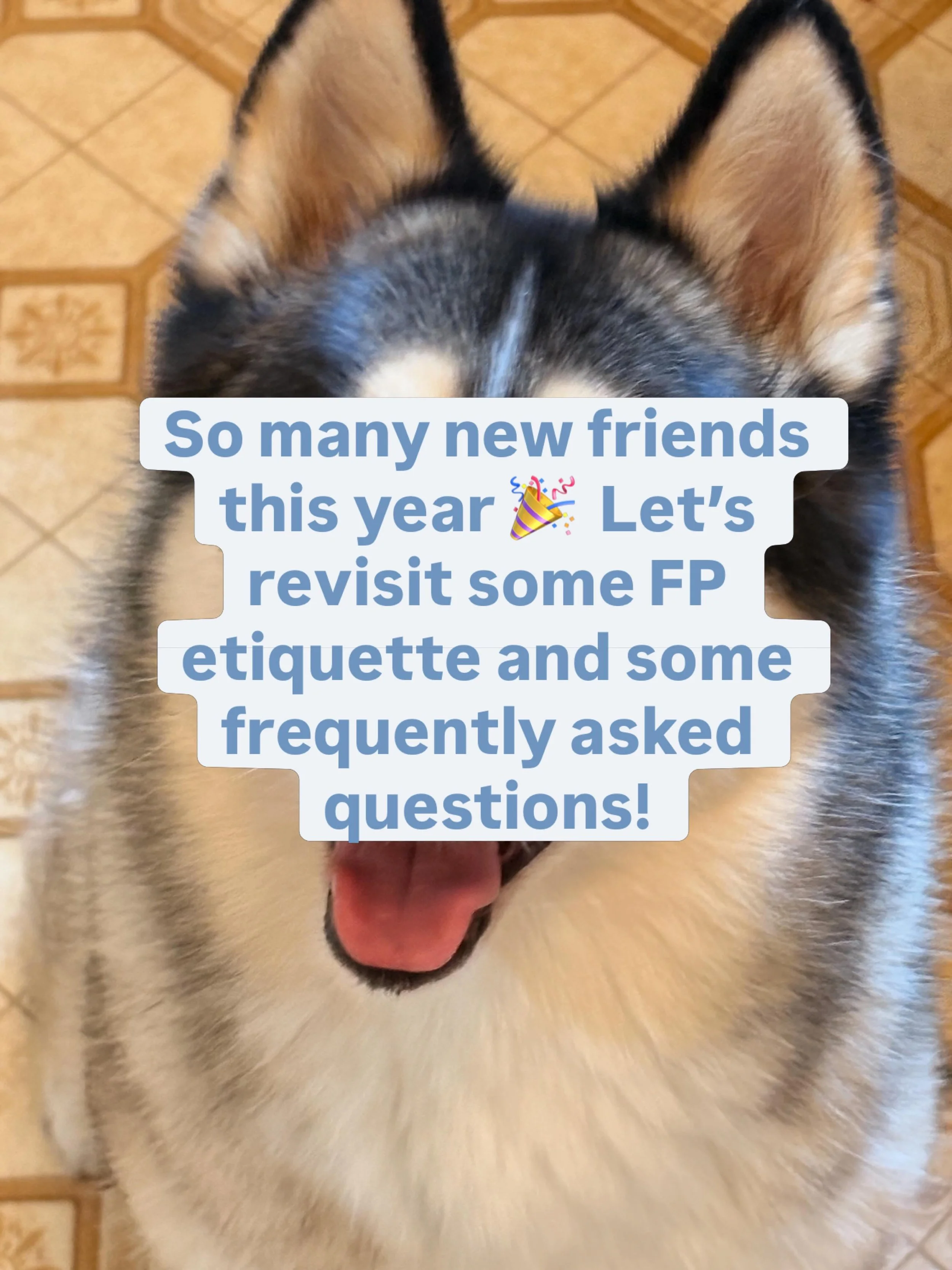 We&rsquo;ve had so many new faces join Foggy Paws this year (yaaaay 🥹), so I figured this is a good time for a little refresher on some FP expectations and guidelines.

What I love about Foggy Paws is that it&rsquo;s my baby and I get to welcome you