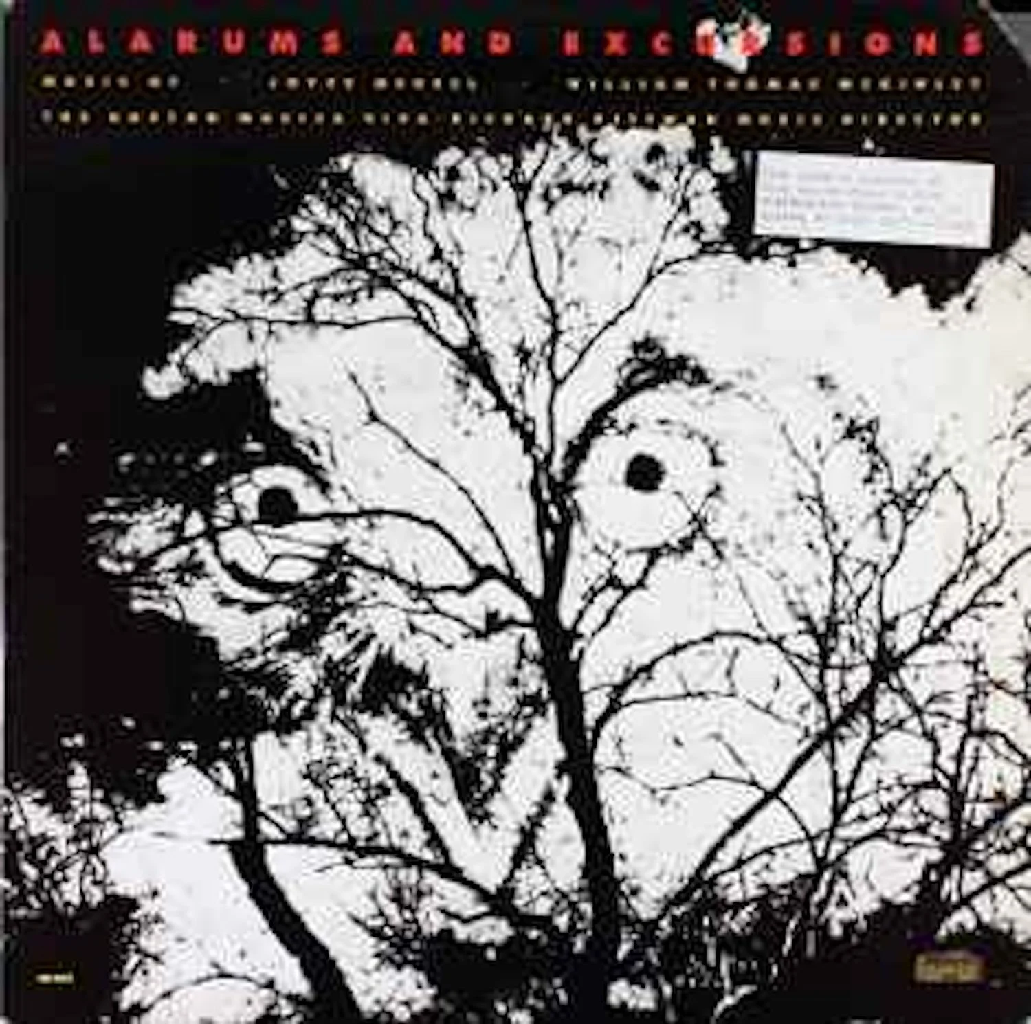 Boston Musica Viva Record 1982