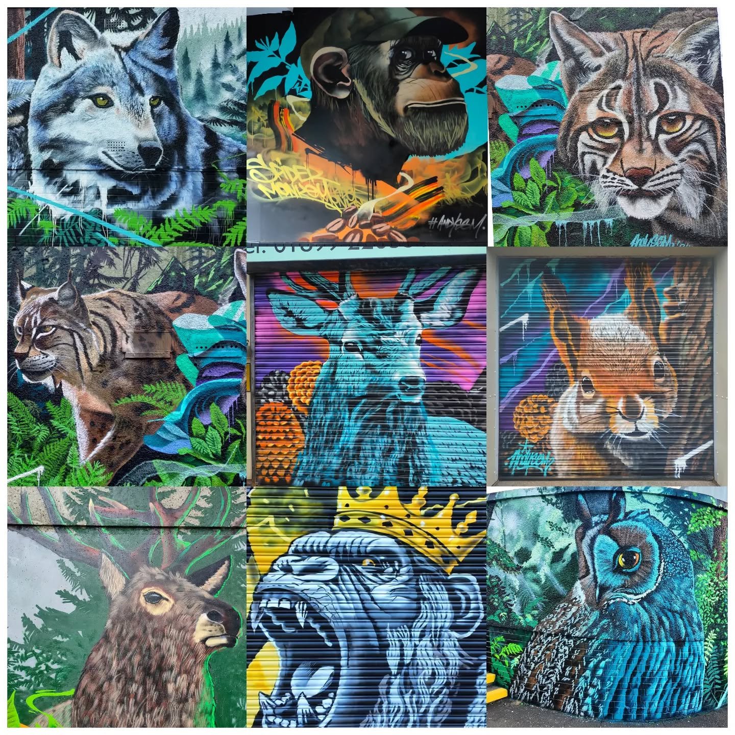 Some of my favourite murals from this year. Thanks to everyone who was a customer this year, or was involved in some way. Looking forward to what 2025 brings.

#glasgowmurals #artinspires #streetart #fyp #graffitiart #animalportrait