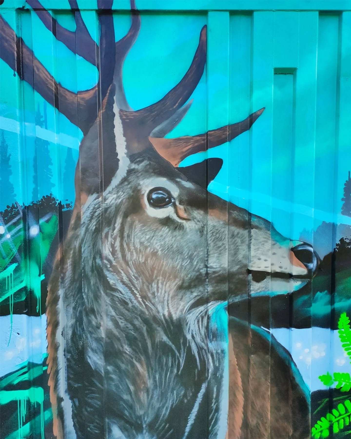 Last of the container photos out at Overton Waggle Park
.
.
.
.#glasgowstreetart #muralpainting #scottishgraffitimurals #andysgm #stag #stagart #artreveal #streetartlover #naturemural
