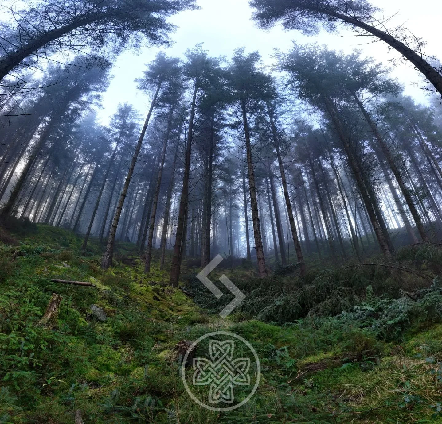 Happy New Year everyone. Hope all's well