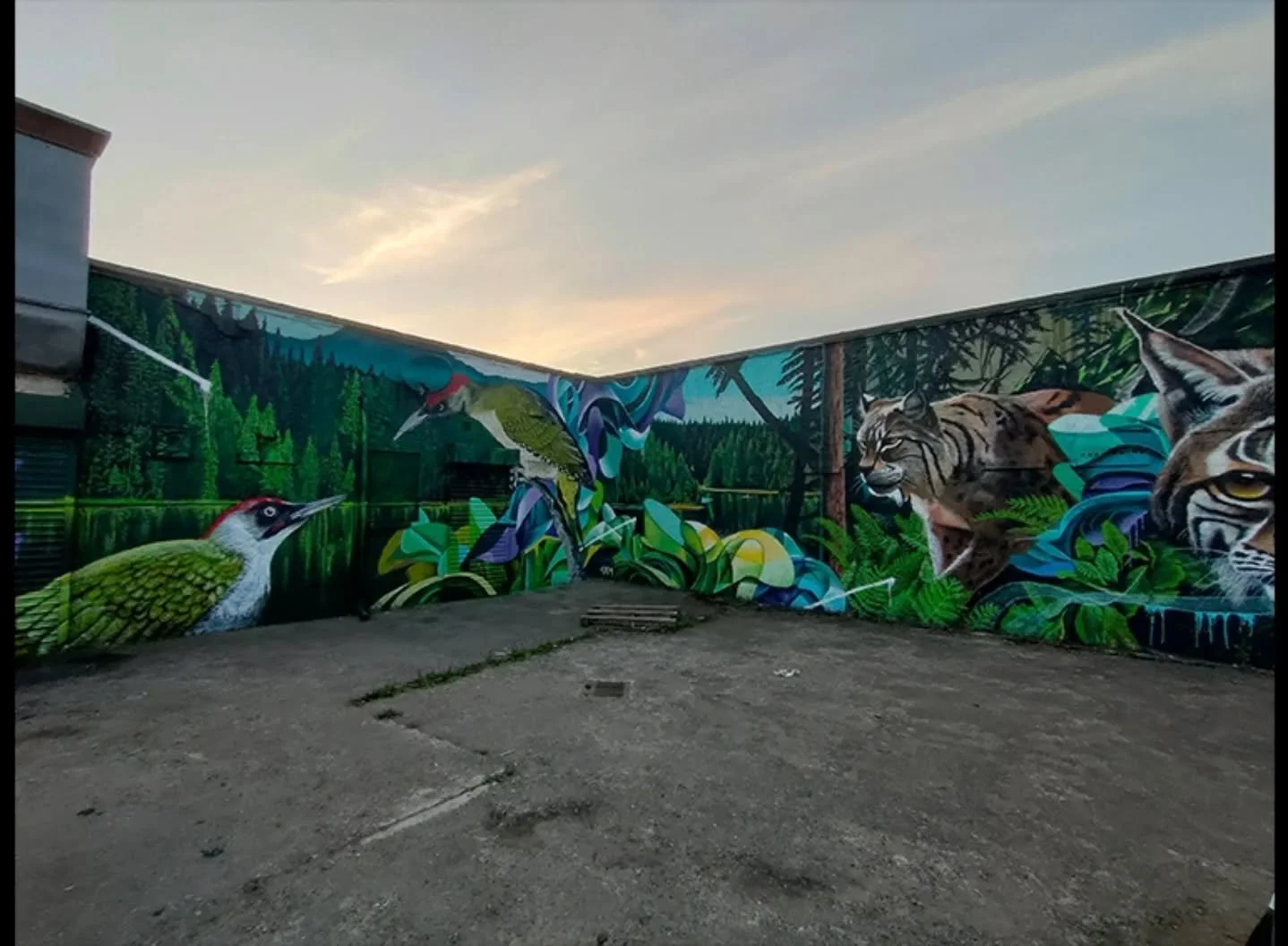 There's a lot of new followers recently, so hello to everyone and thanks for following. 

Here's a couple of murals I did last year, out in Wishaw at @studio1barbertattooco 

I've got some new work coming, so hopefully you all stick around 

#naturea
