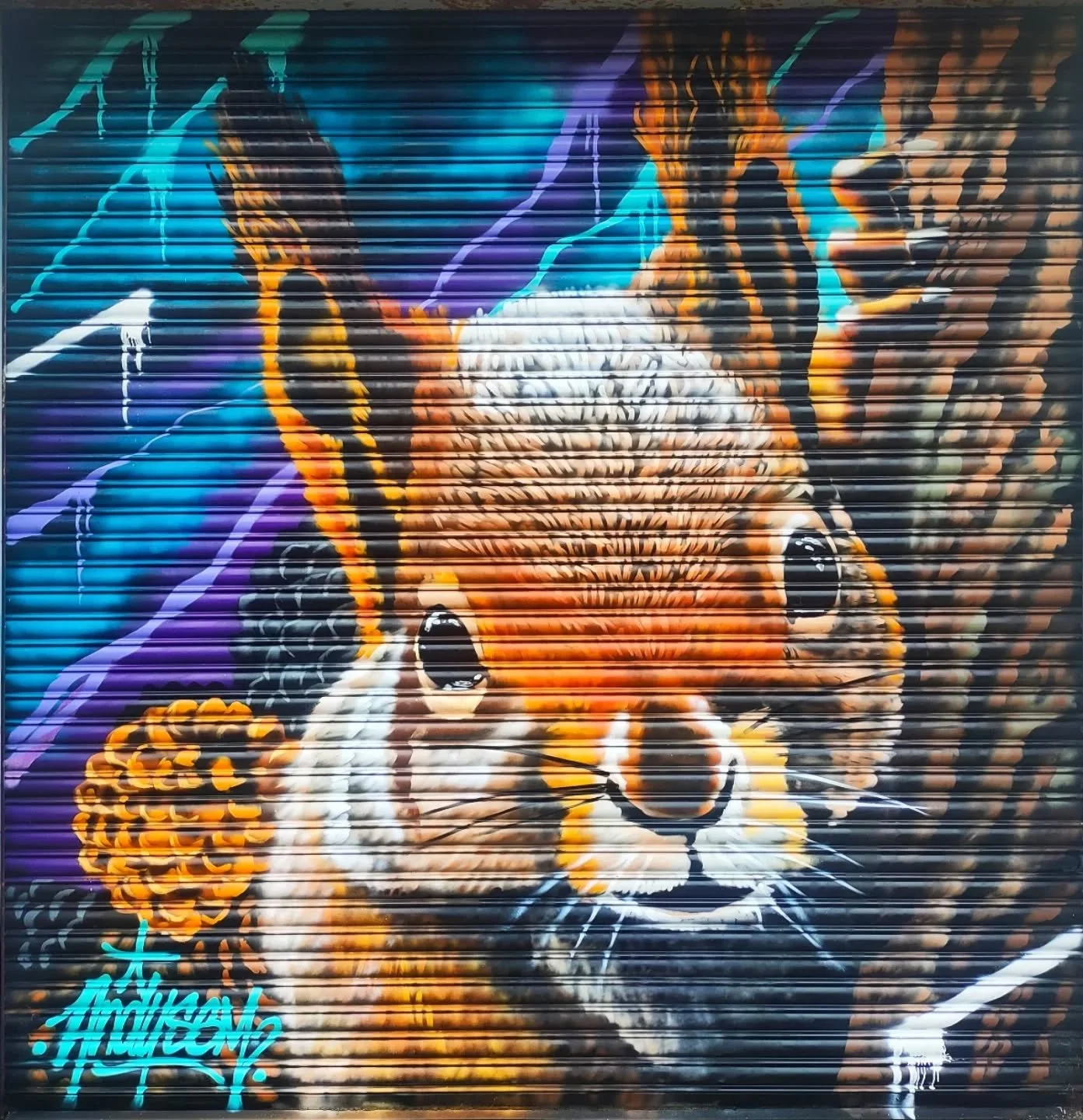Throwback to this wee guy, painted back in 2024

#streetartscotland #redsquirrel #squirrelart #glasgowmurals
