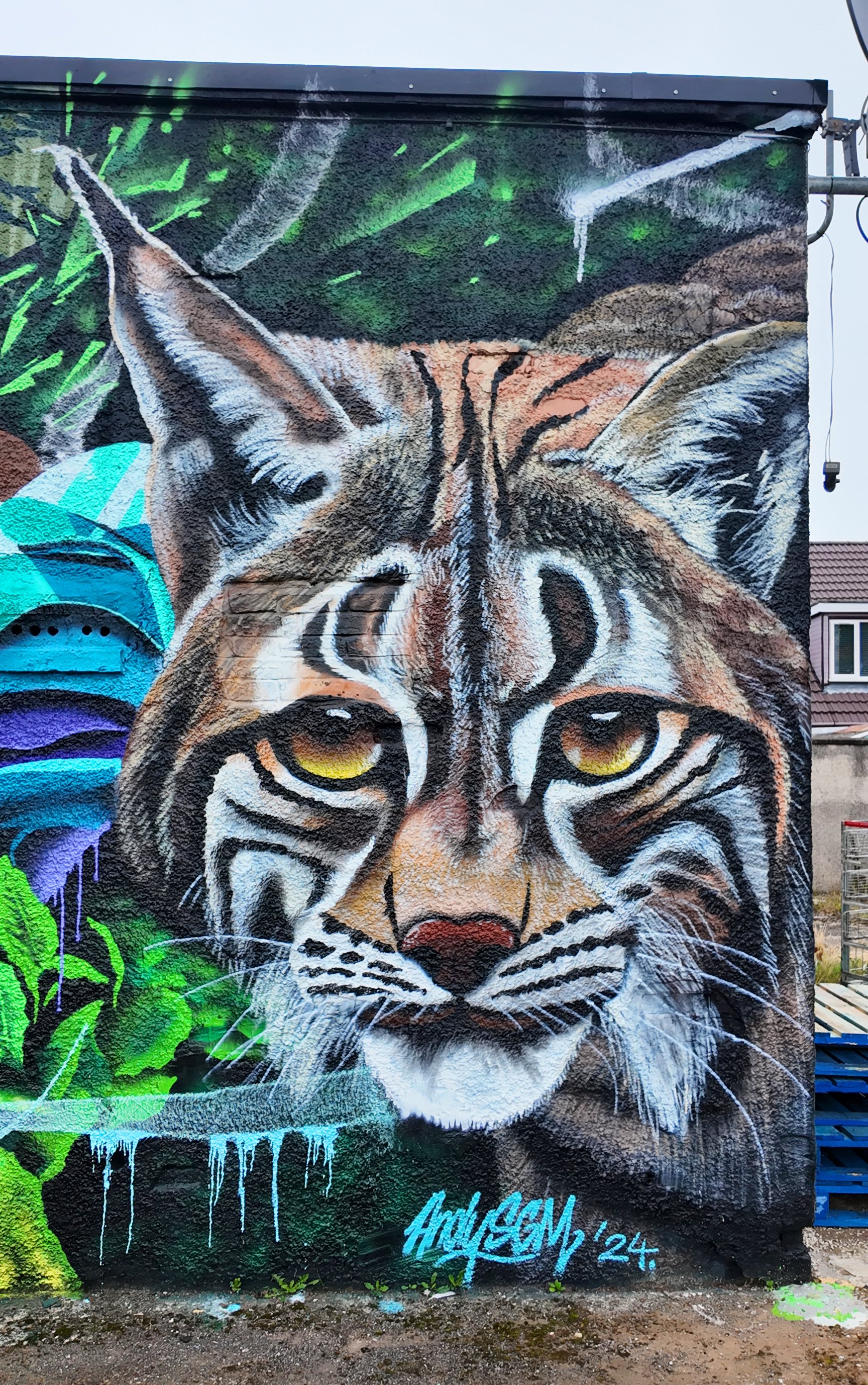 mural of a Lynx in Wishaw, North Lanarkshire