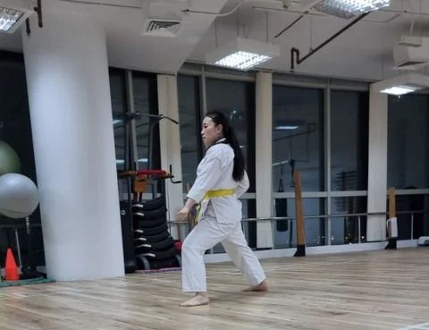 What Makes Shotokan Different from Other Karate Styles?
