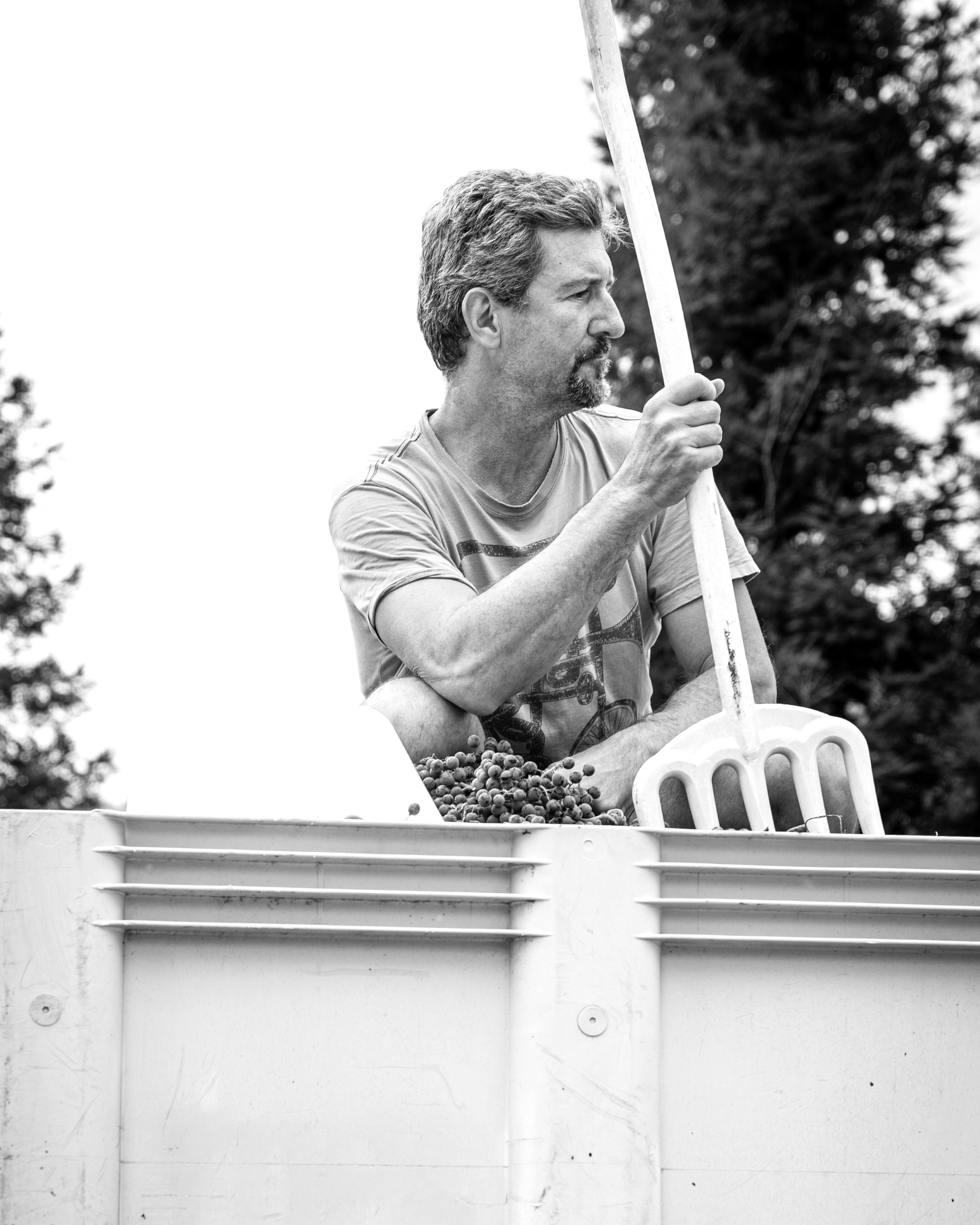 Q&amp;A with the Winemaker Fabien Castel of Side Street Wine