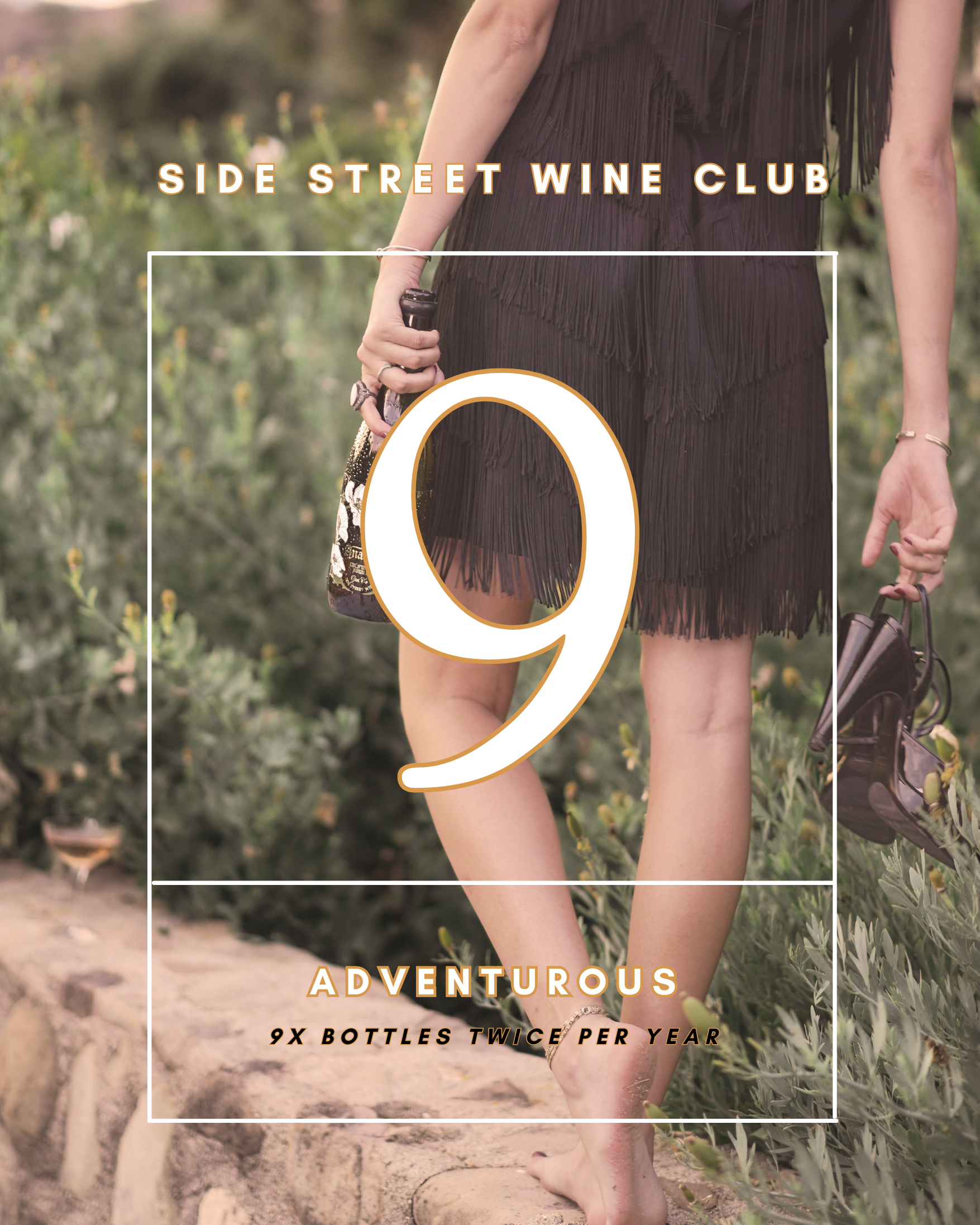 9 bottle wine club