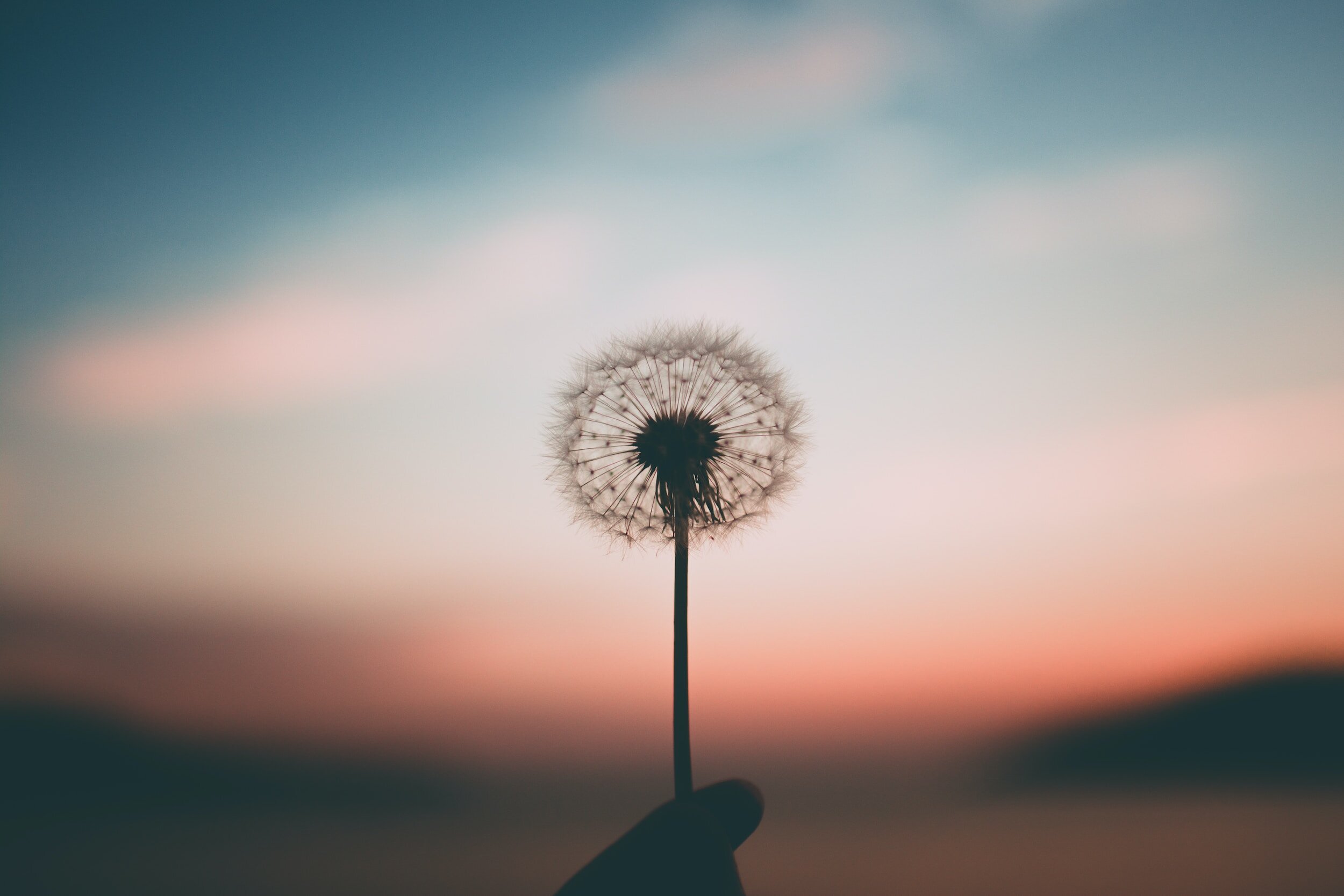 From Faithful Dandelions to Nurturing Trees