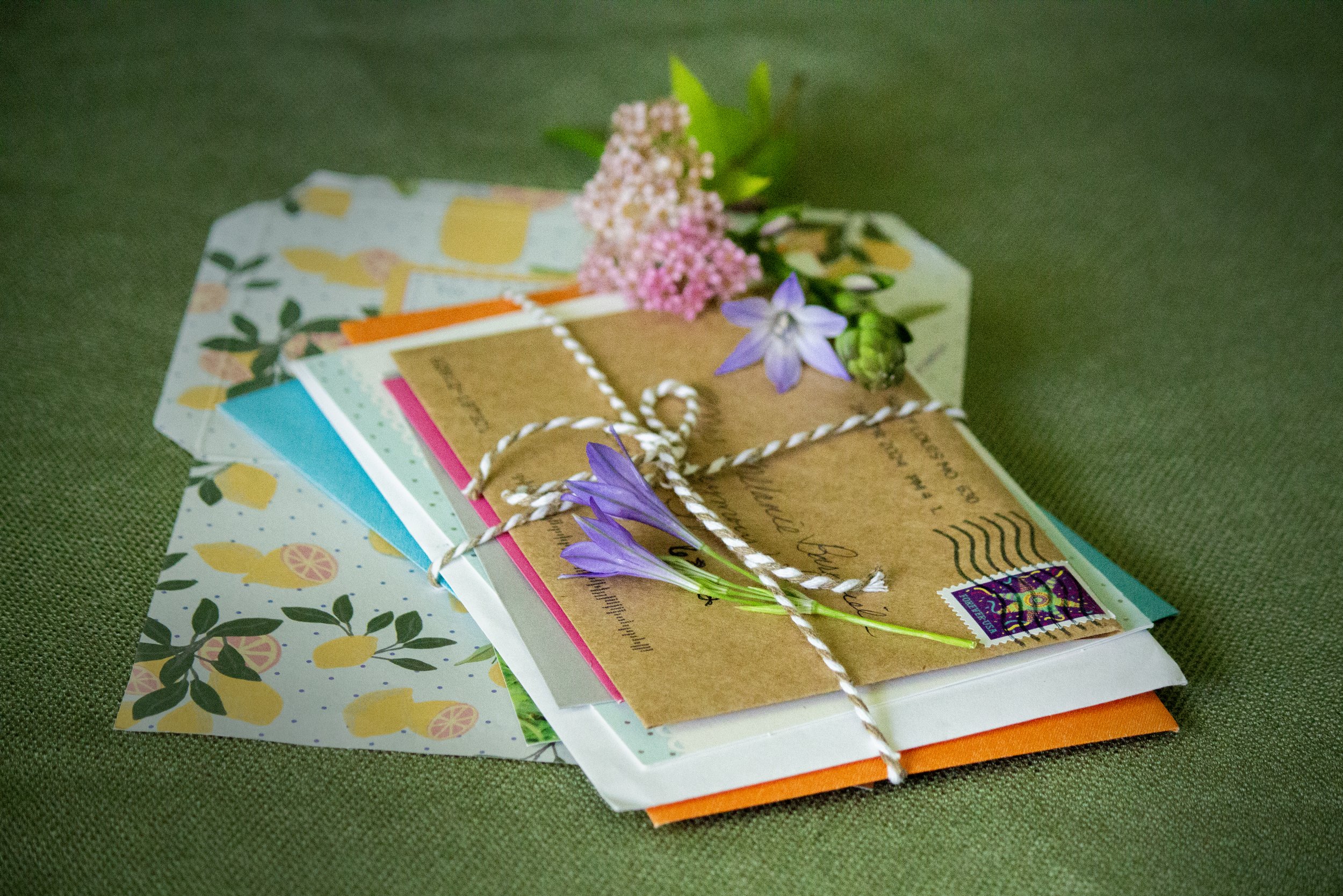 “Dear Reader…”
