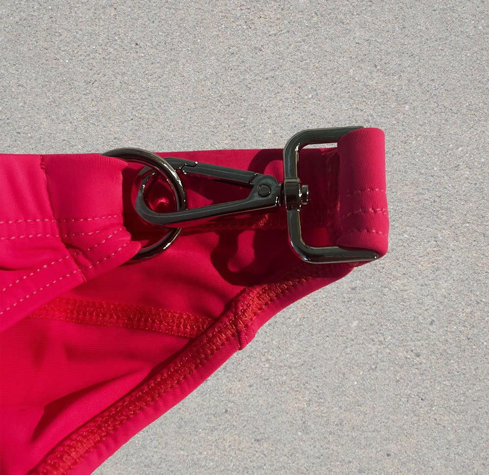 Fuchsia_2.jpg