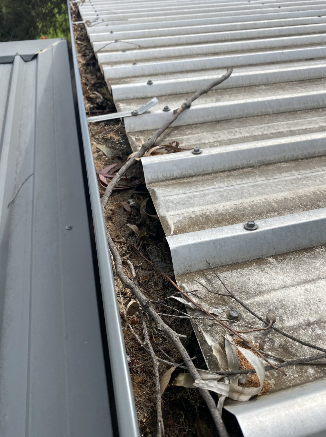 Close-up of a damaged metal roof with loose screws, rust, and fallen twigs and leaves in the gutter.