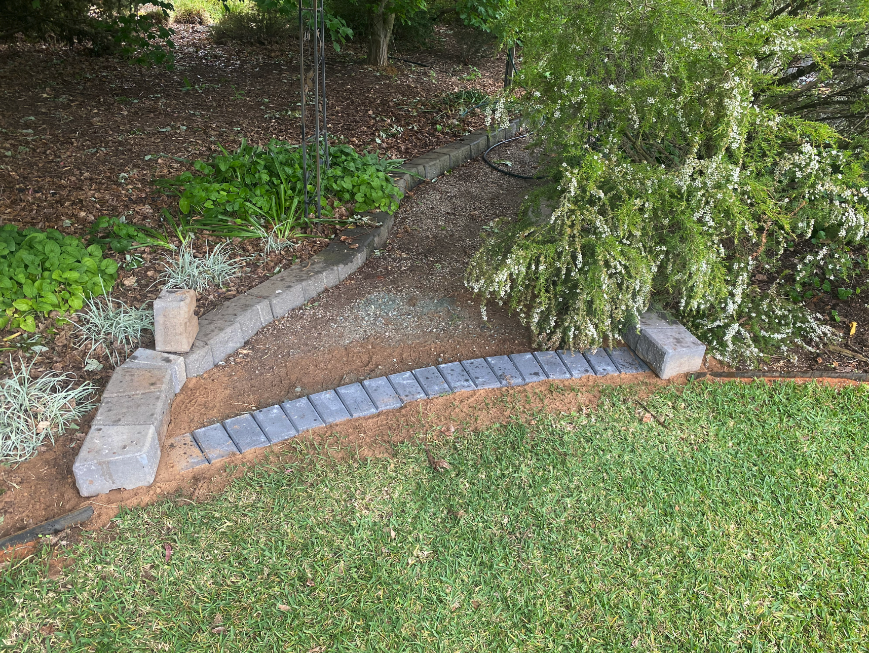 Garden border with stone and brick edging, plants, and a large white flowering shrub.