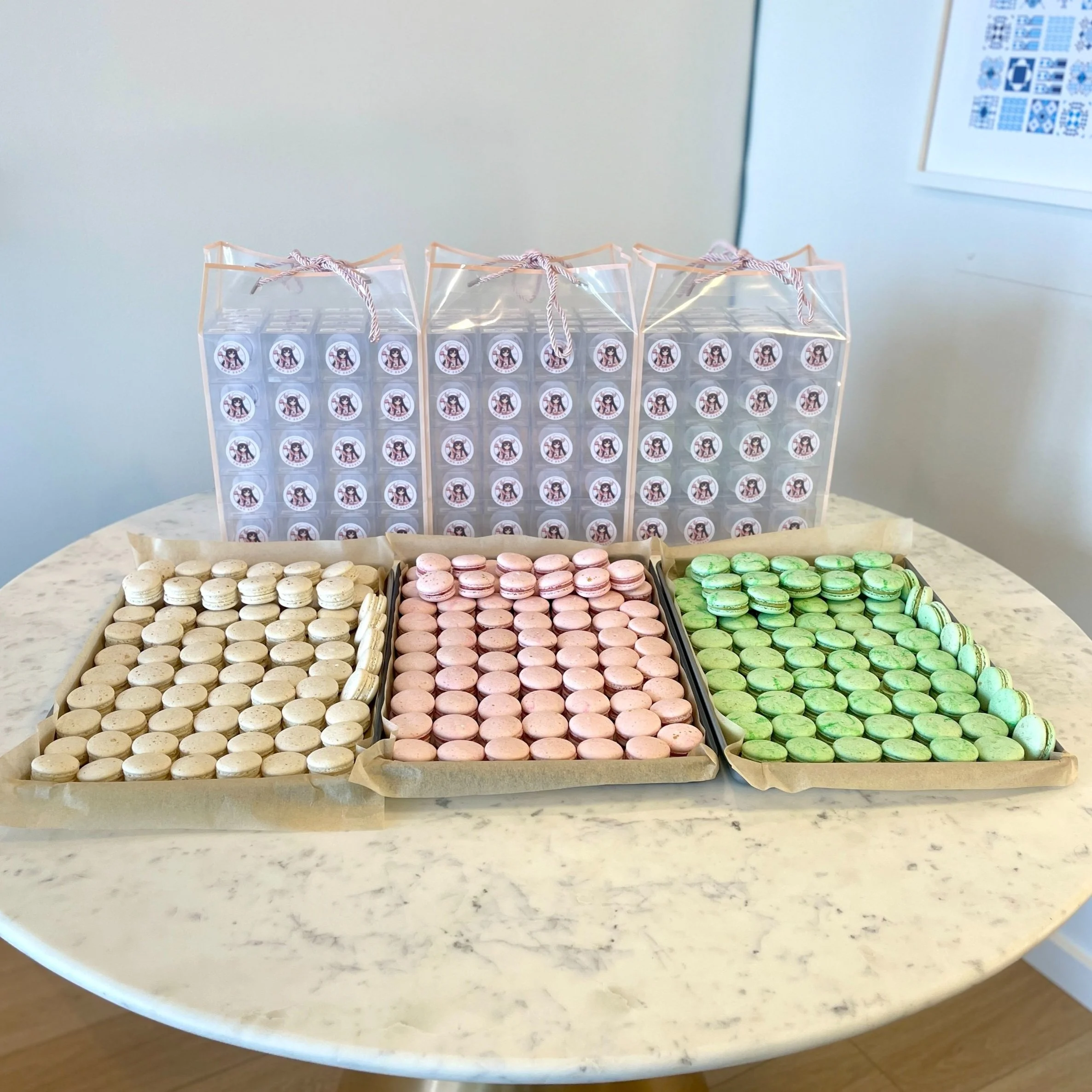 Spring Fling Macarons.jpg