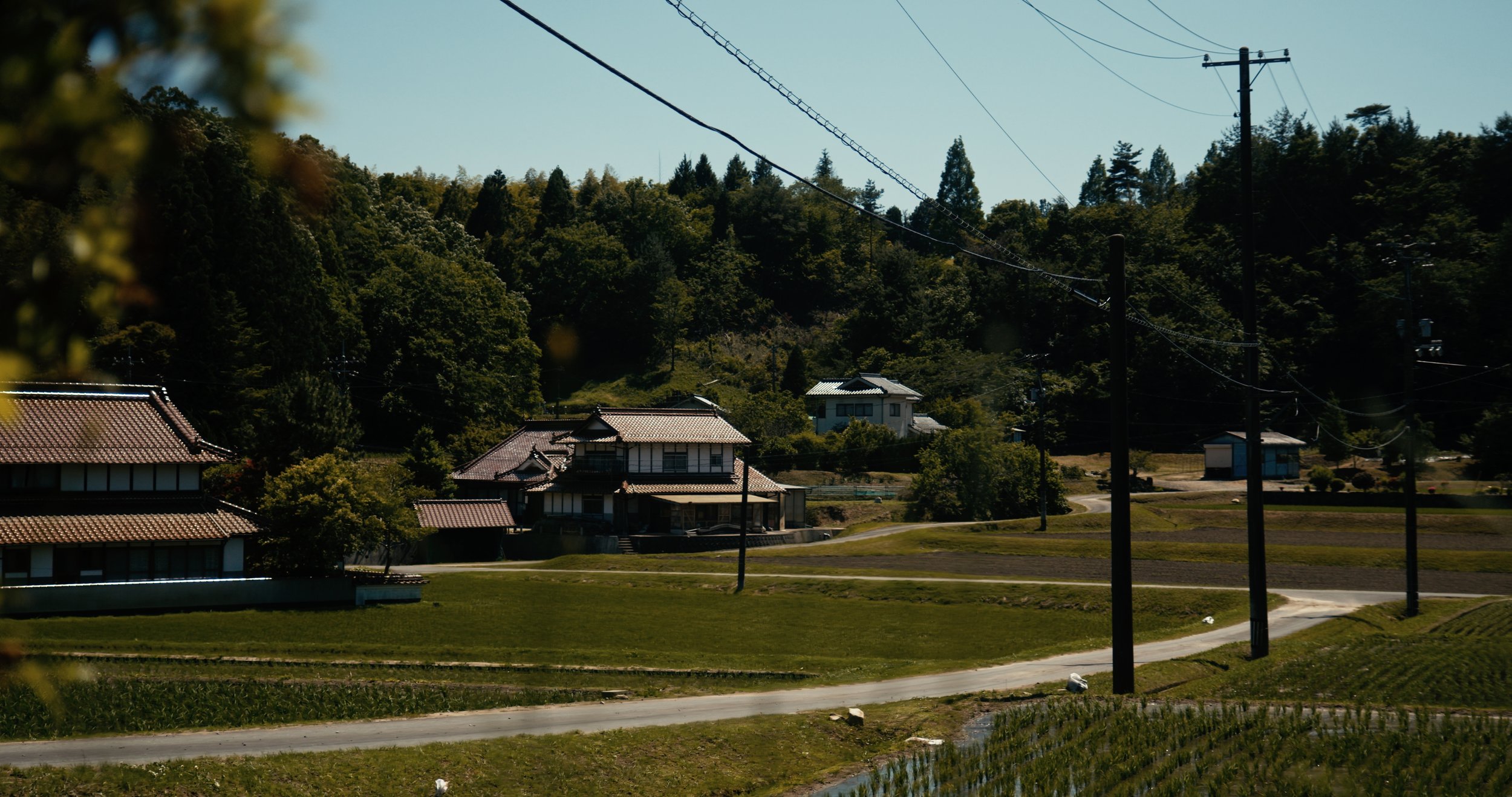 Untitled_1.164.1.jpg