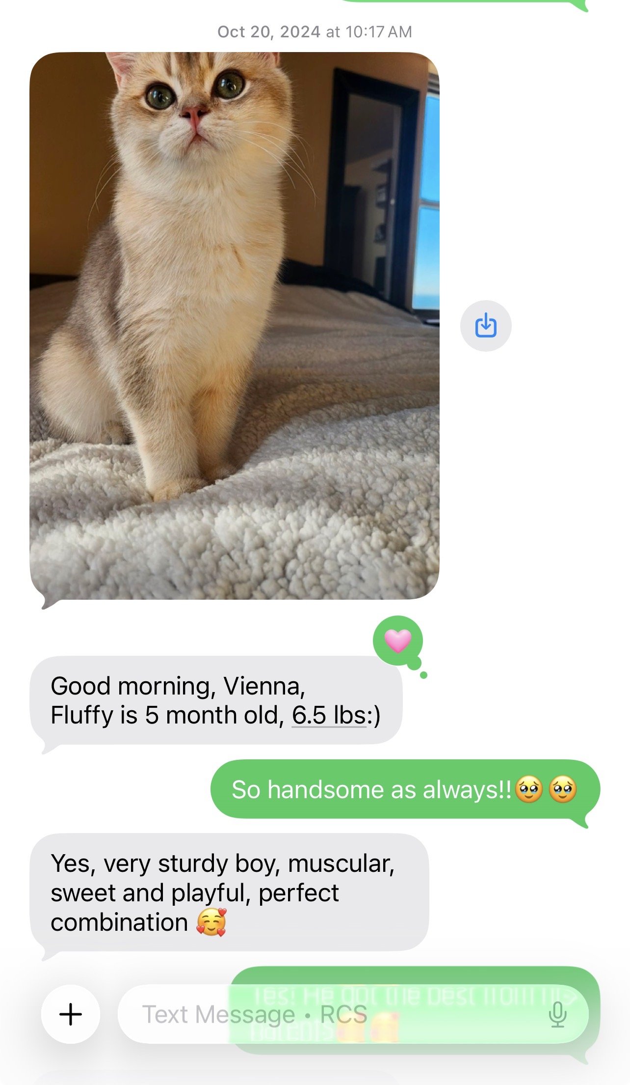 Positive feedback from an Arctic Cattery kitten owner