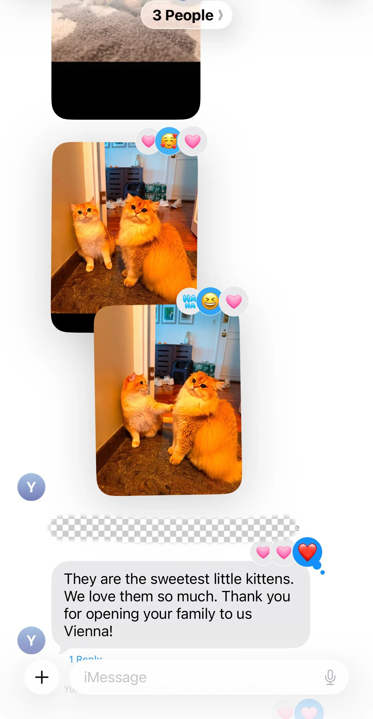 Arctic Cattery parent message about their kittens
