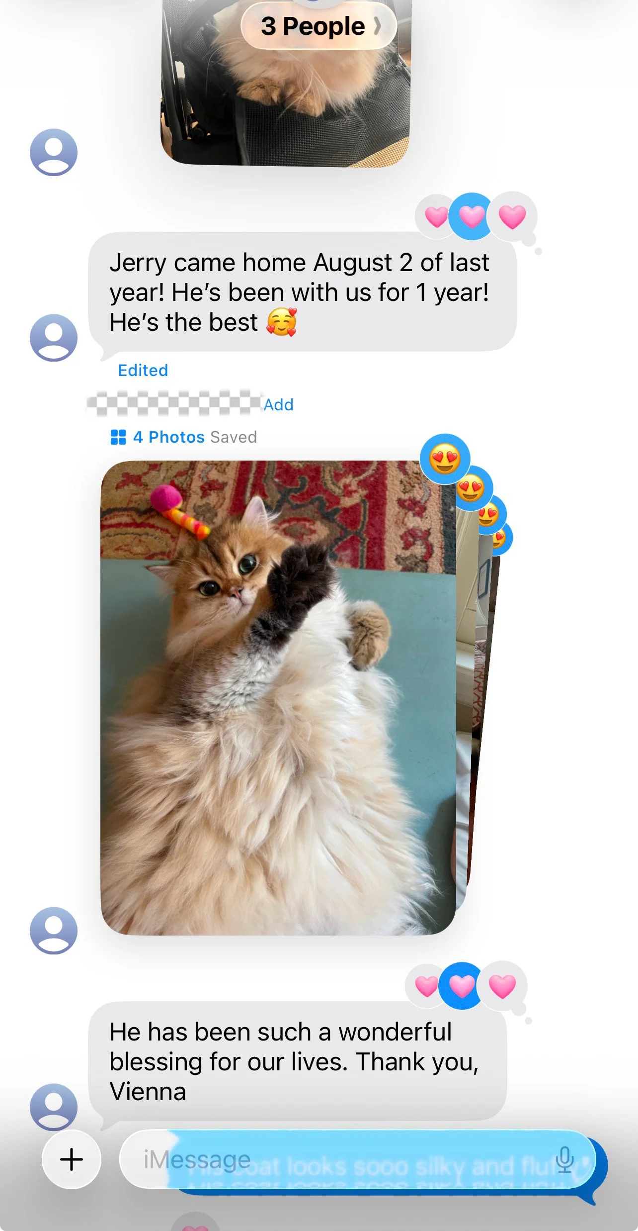 Review from an Arctic Cattery British Longhair family