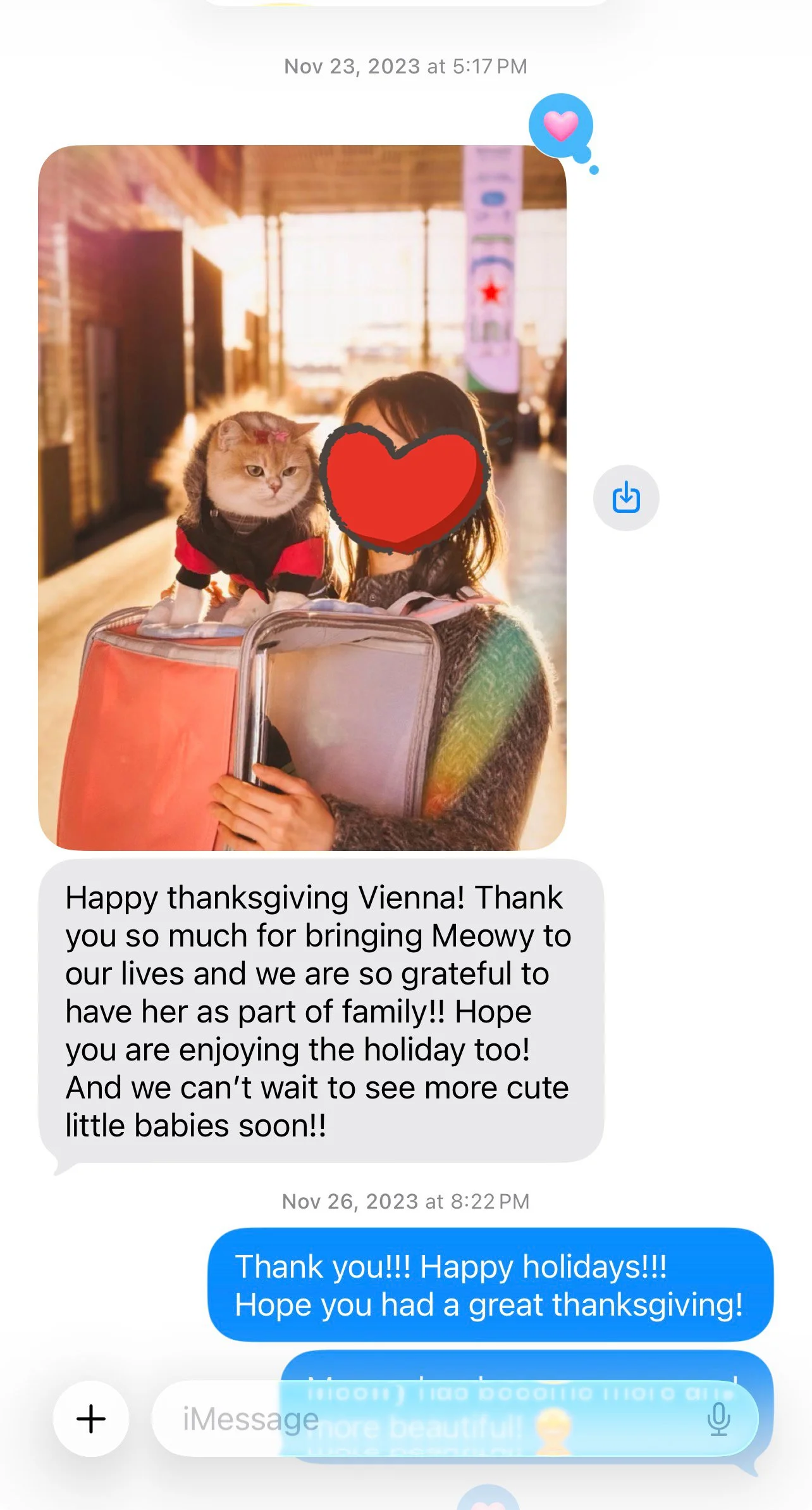 British Shorthair family feedback for Arctic Cattery