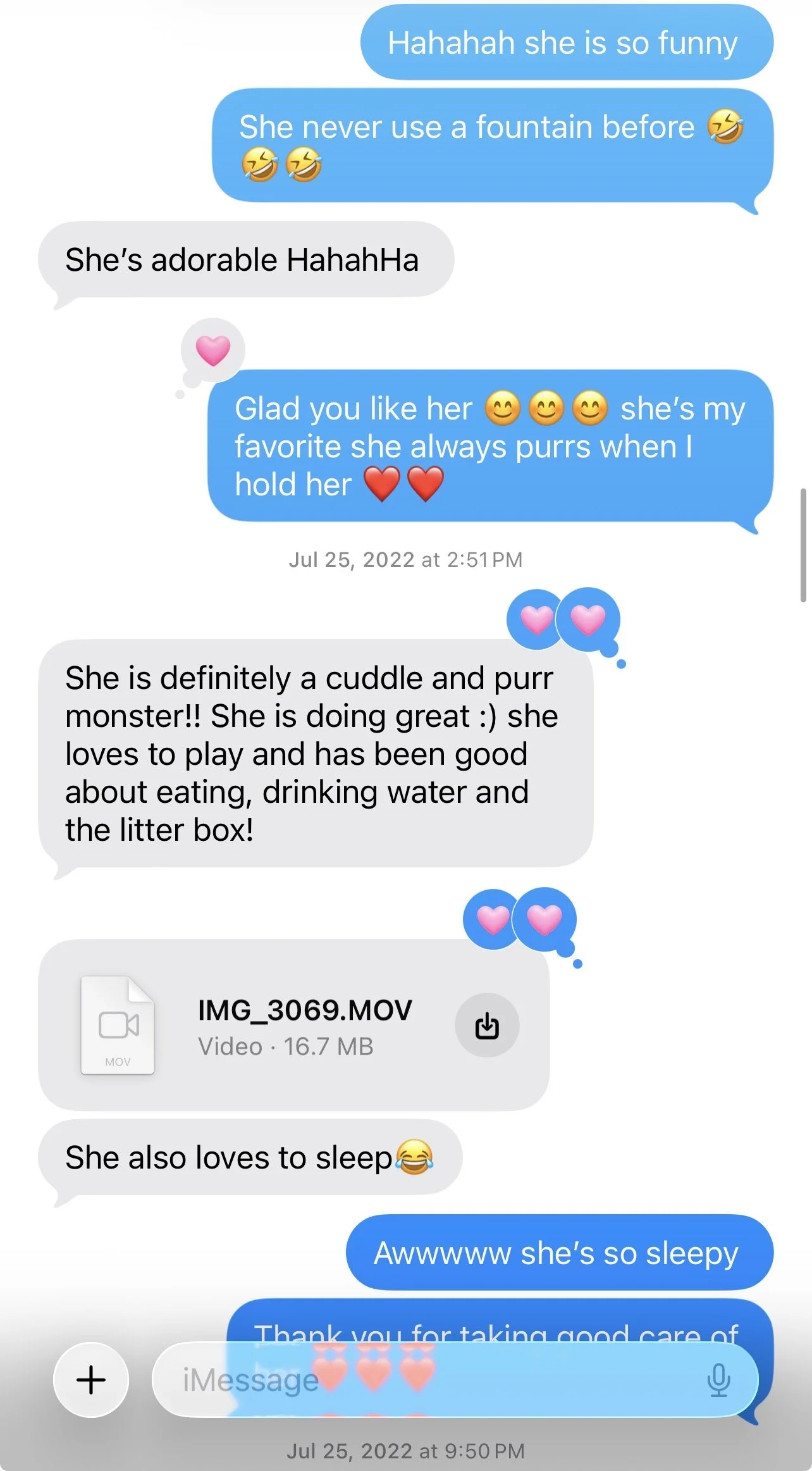Arctic Cattery parent testimonial and kitten update