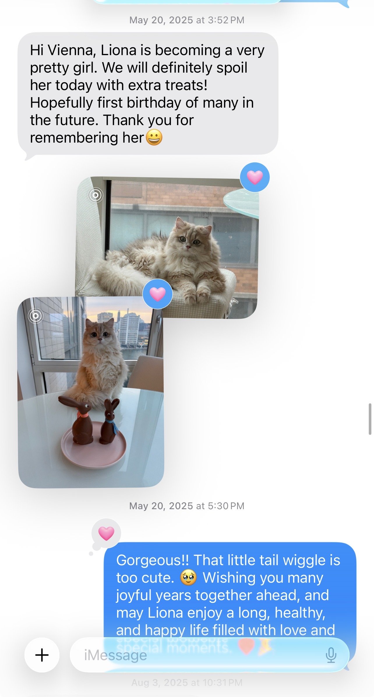 Arctic Cattery parent review and customer feedback