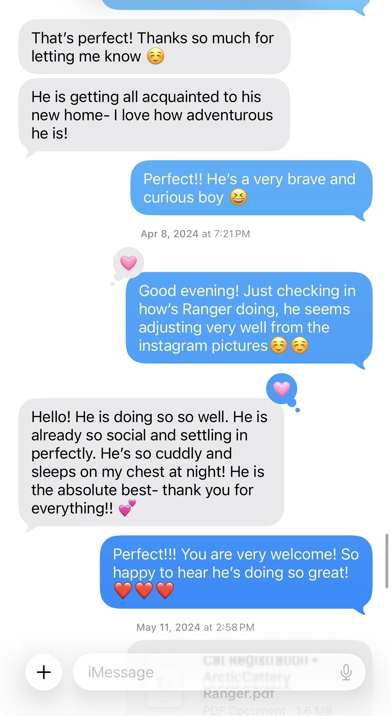 Arctic Cattery review shared by a kitten family