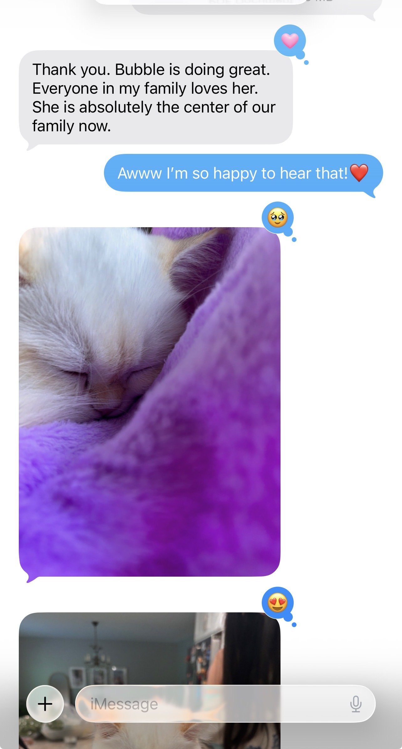 Happy update from an Arctic Cattery kitten family