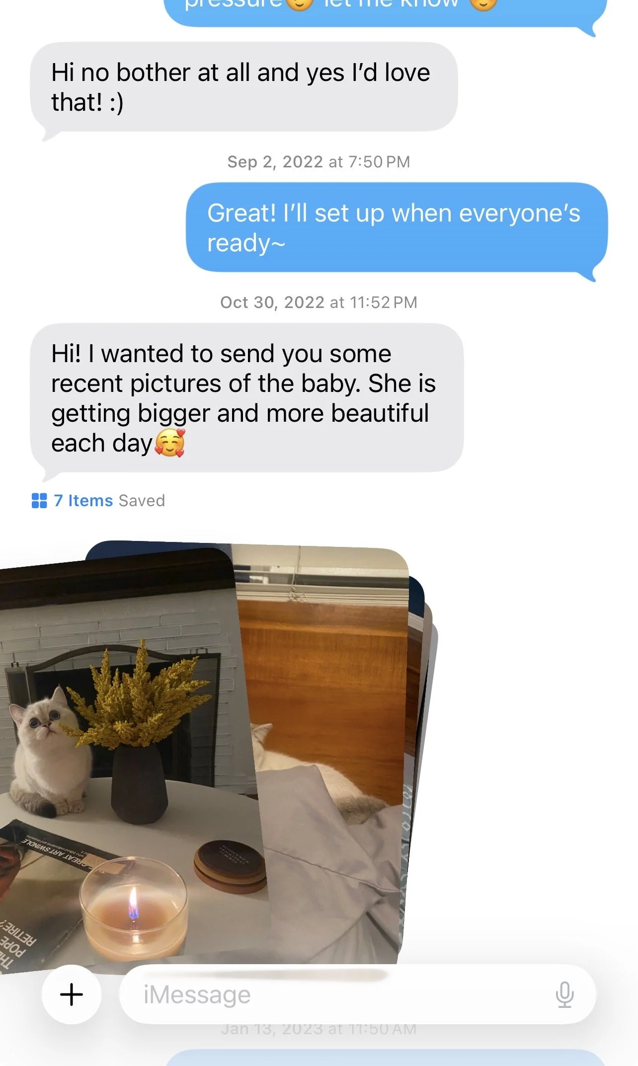 Customer review for Arctic Cattery British Shorthair kitten