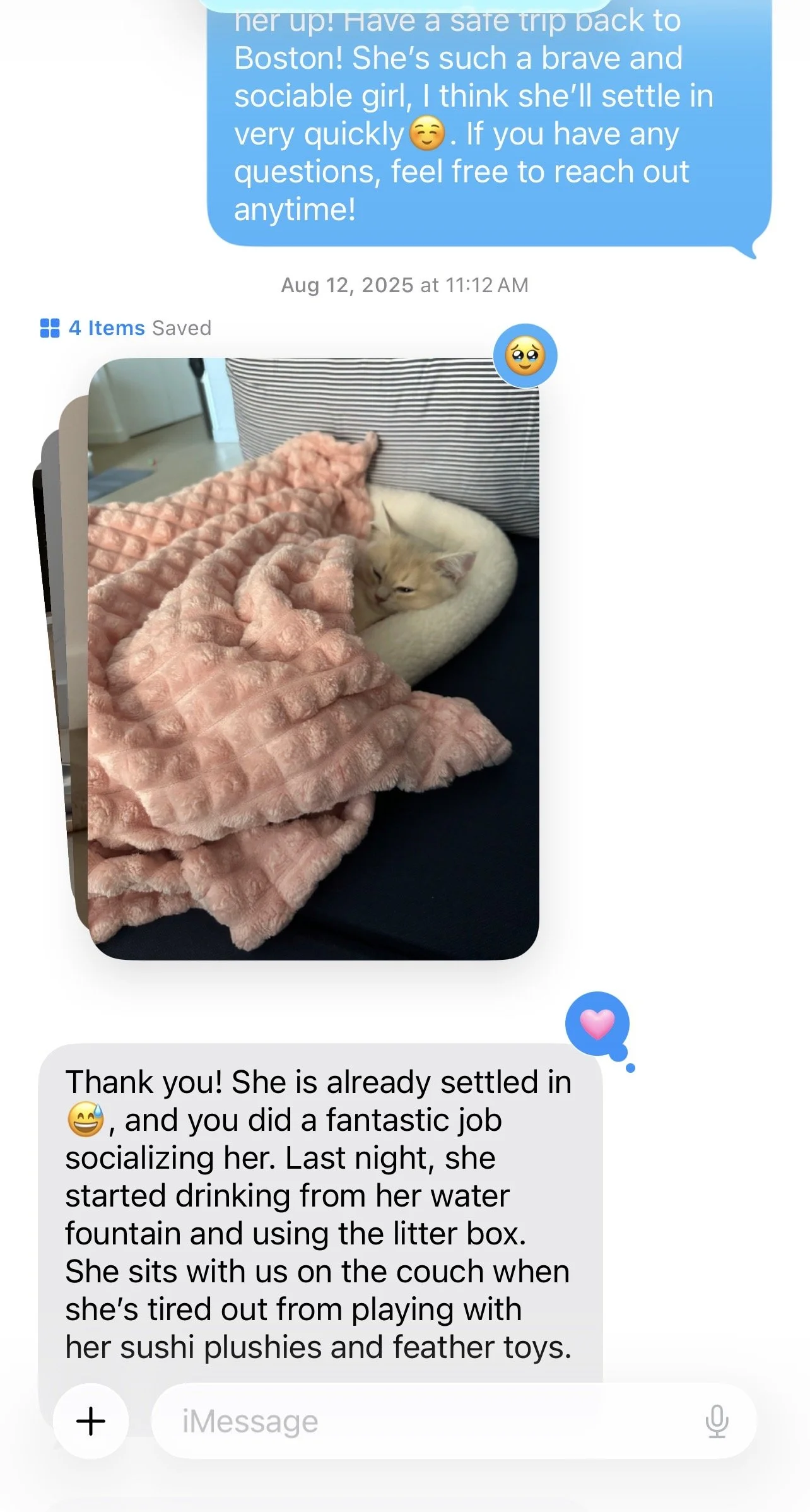 Arctic Cattery feedback from a happy cat family
