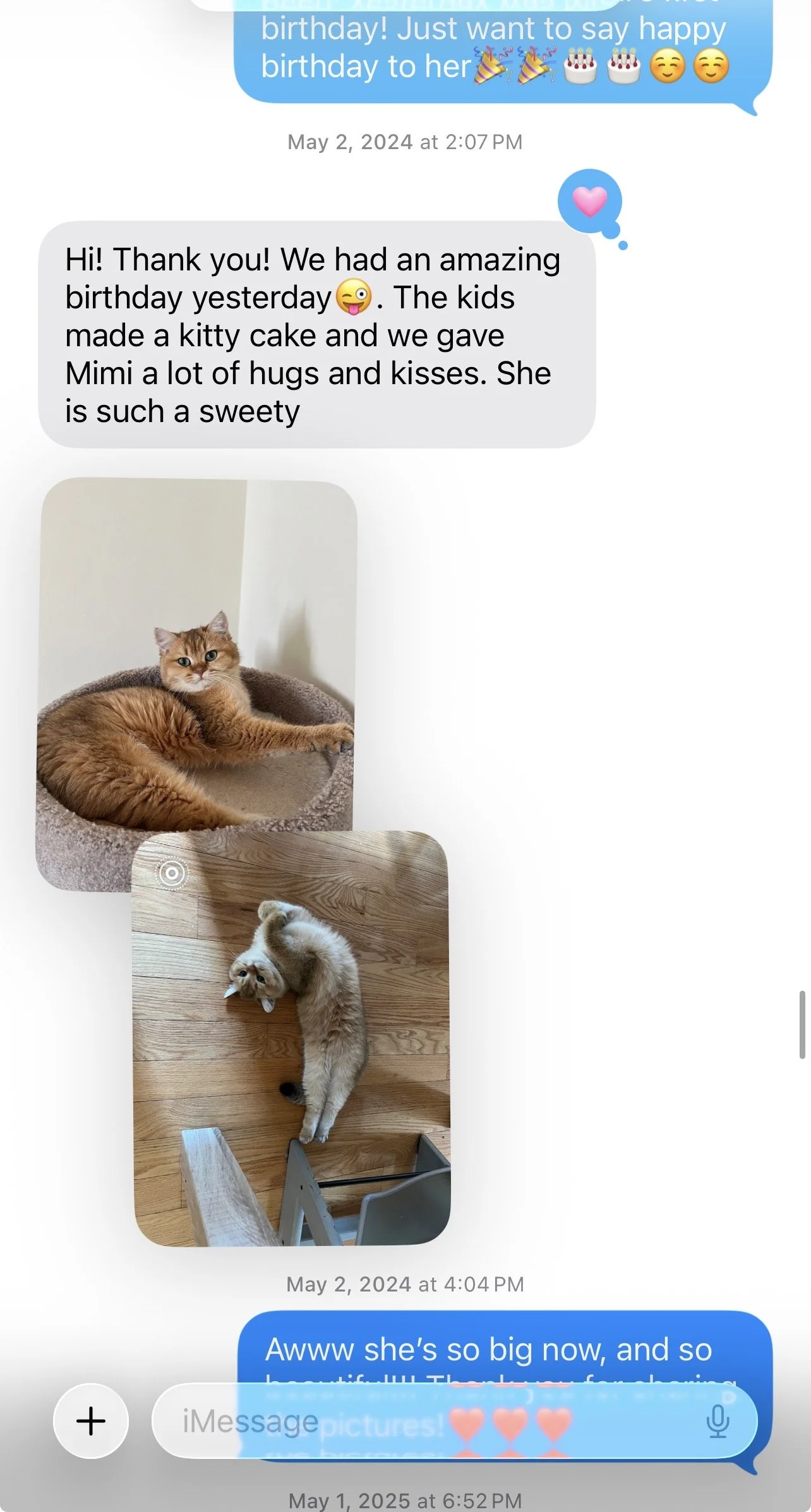 Arctic Cattery kitten family sharing their experience