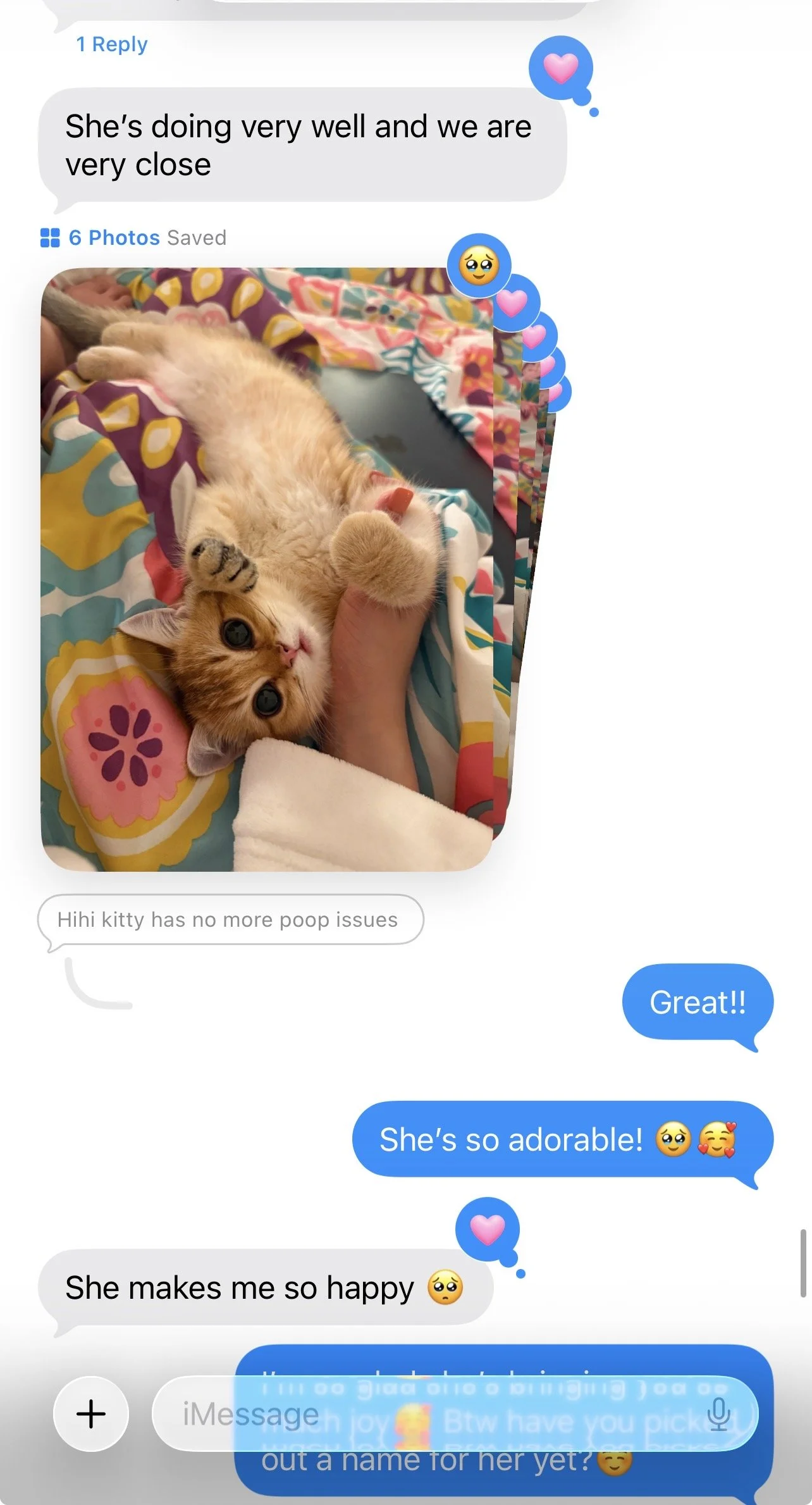 Parent message after bringing home an Arctic Cattery kitten