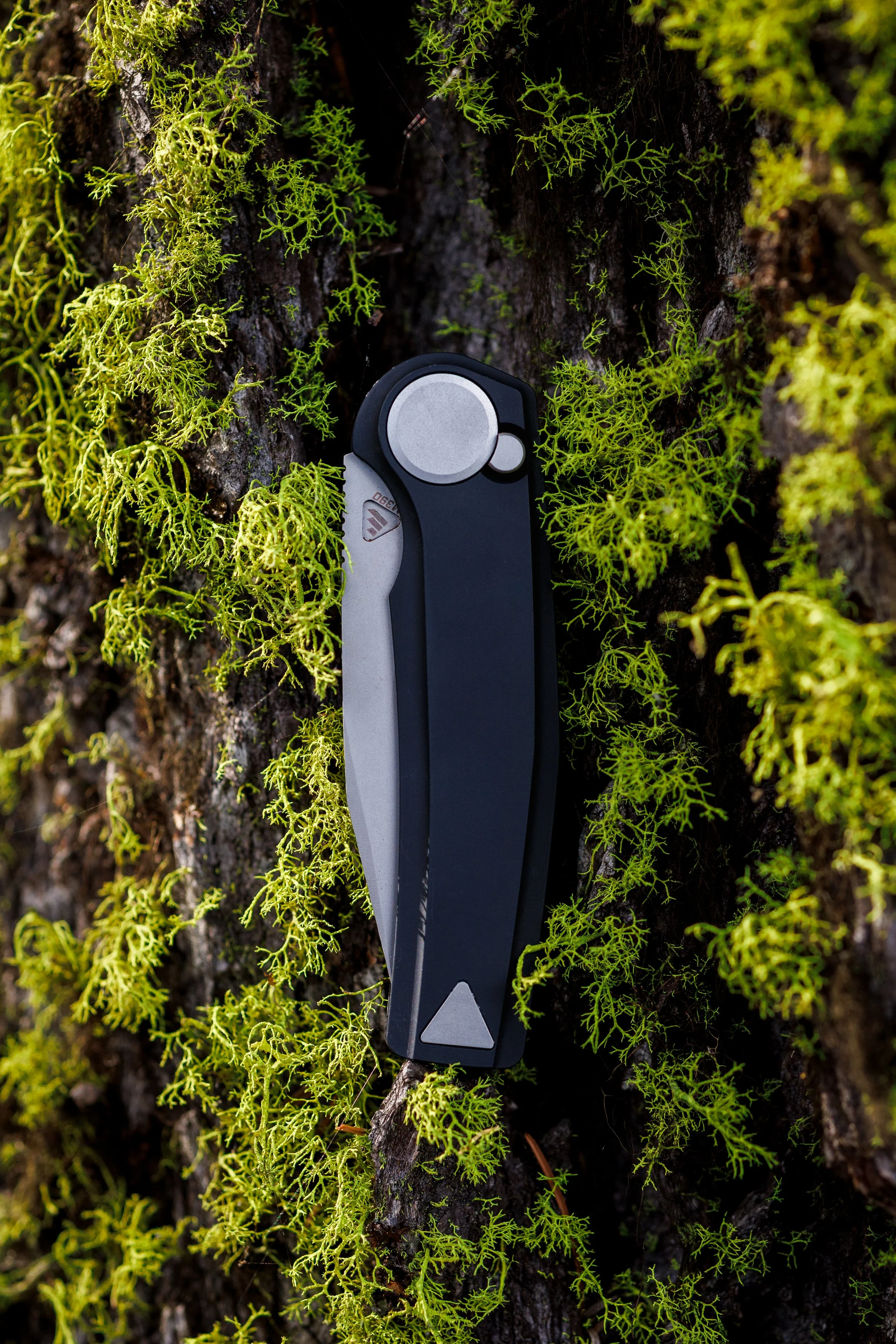 MADRONE_BLACK-33.jpg