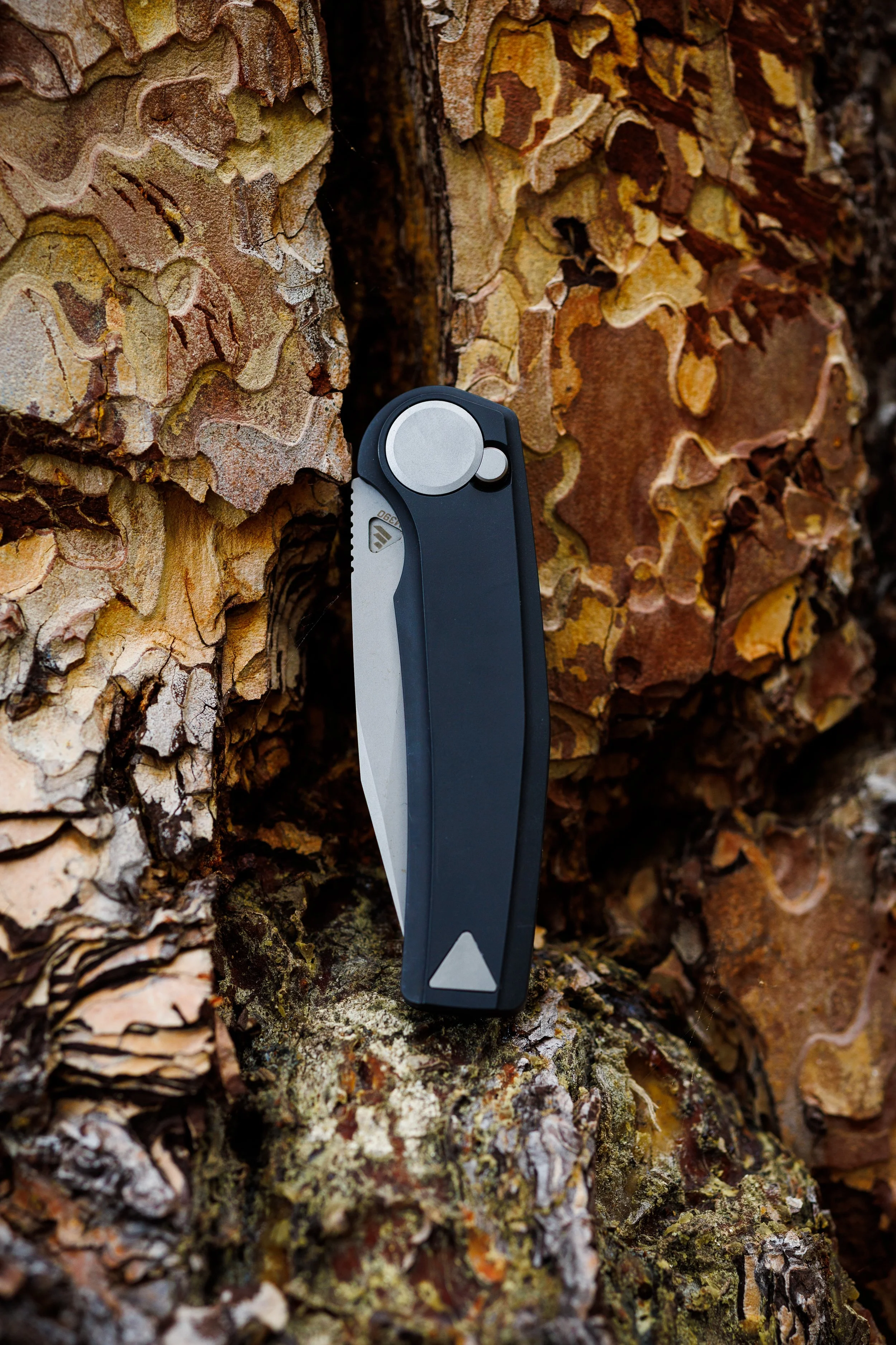 MADRONE_BLACK-31.jpg