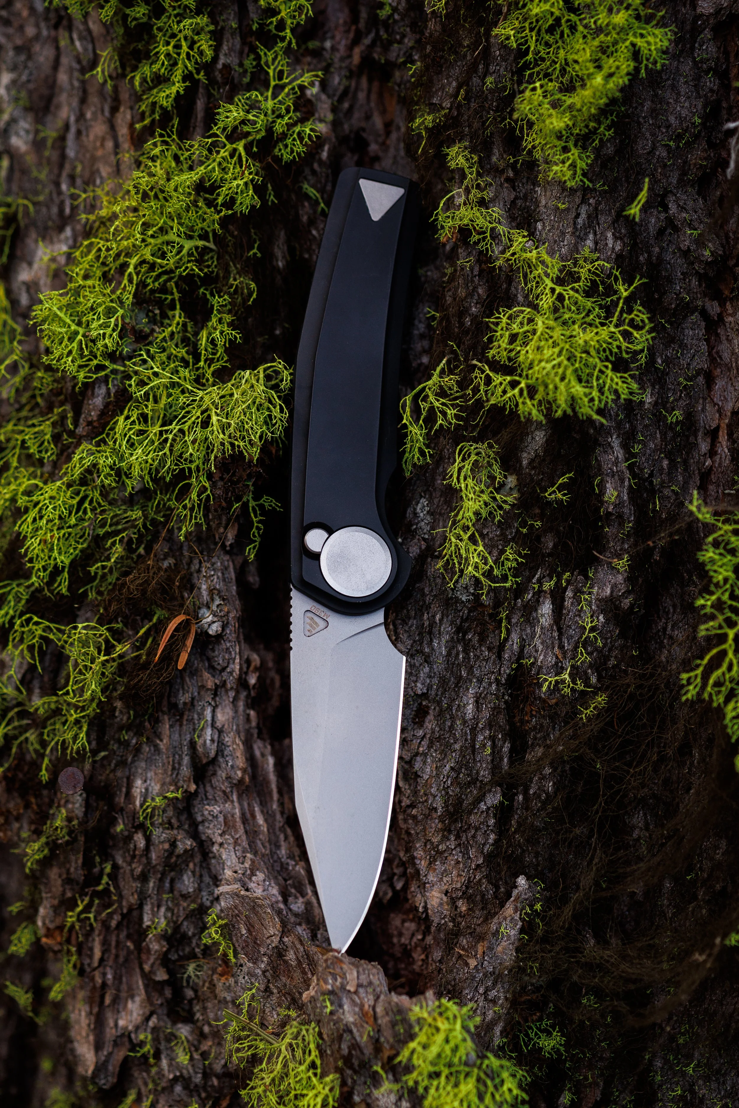 MADRONE_BLACK-34.jpg