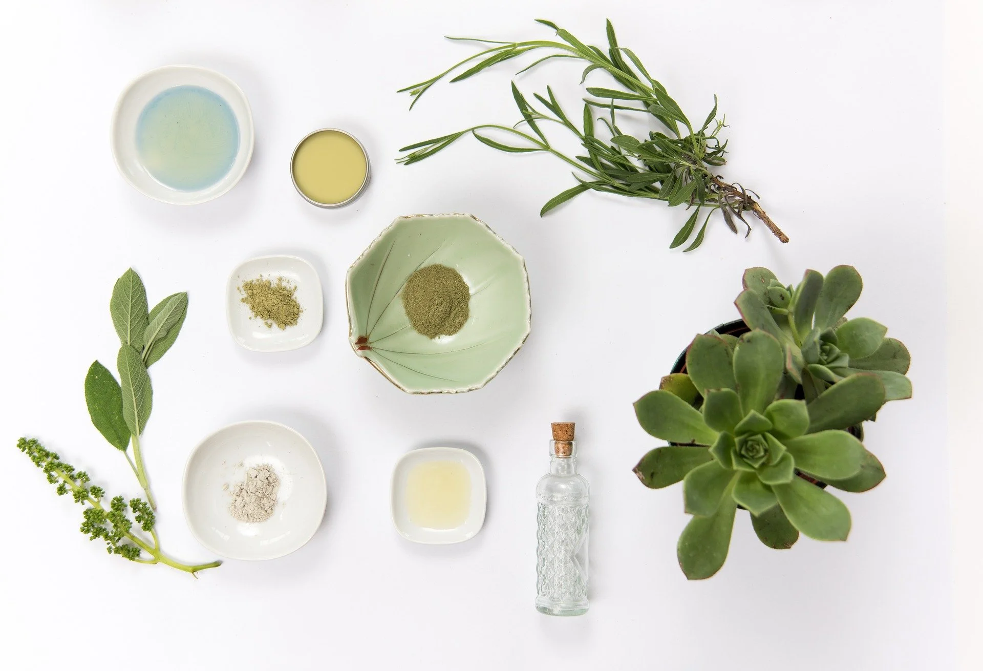 Best Skincare Ingredients to Look for in Sunscreens