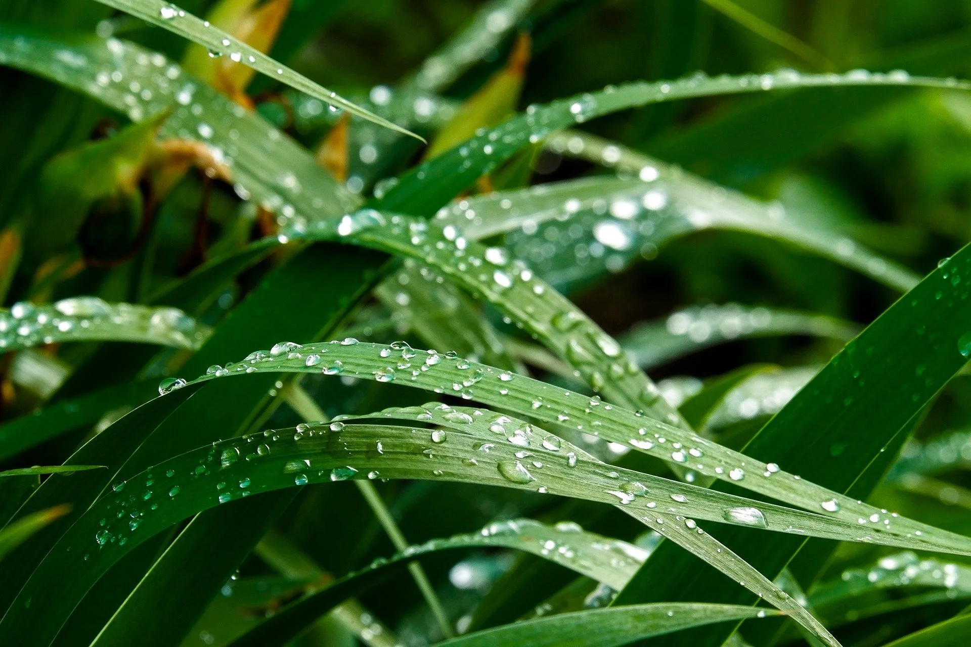 Moisturizing Ingredients in Sunscreens: What to Look For