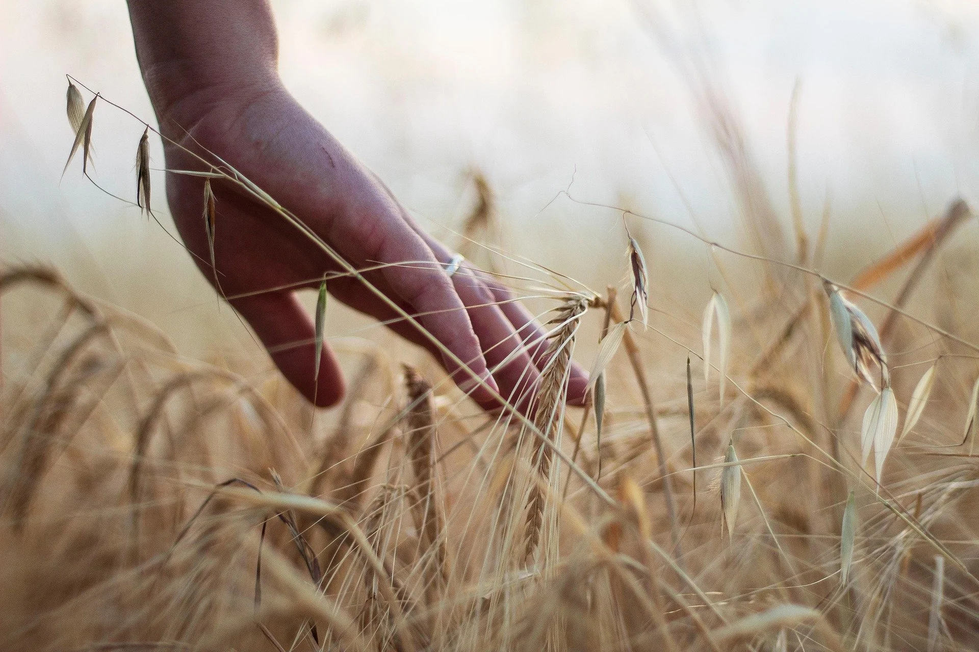 Don't Forget Your Hands: A Quick Reapplication Reminder