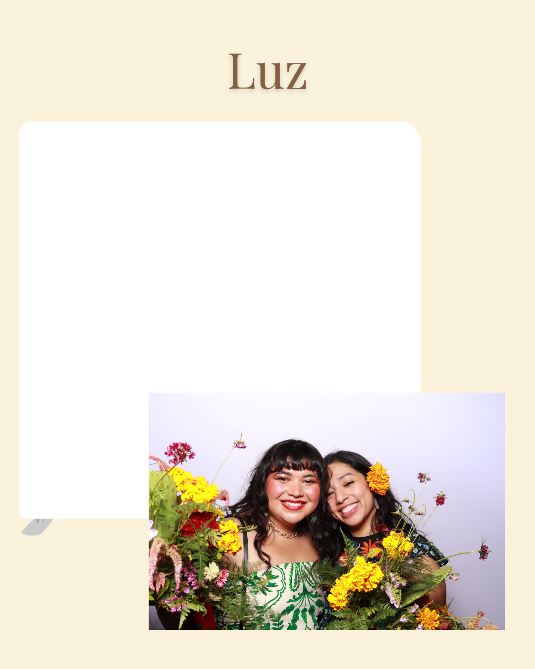 Luz.png
