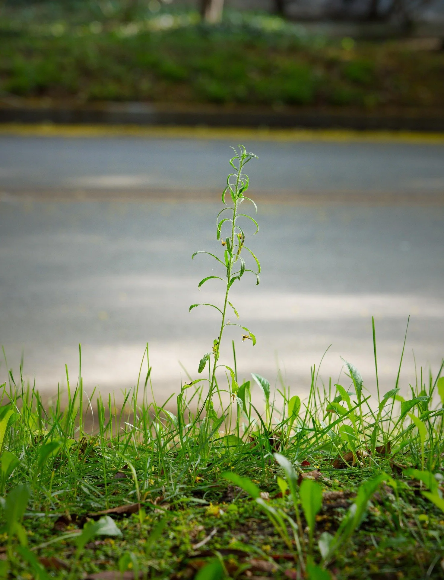 Decision Intelligence: A Better Way to Tackle Wicked Problems