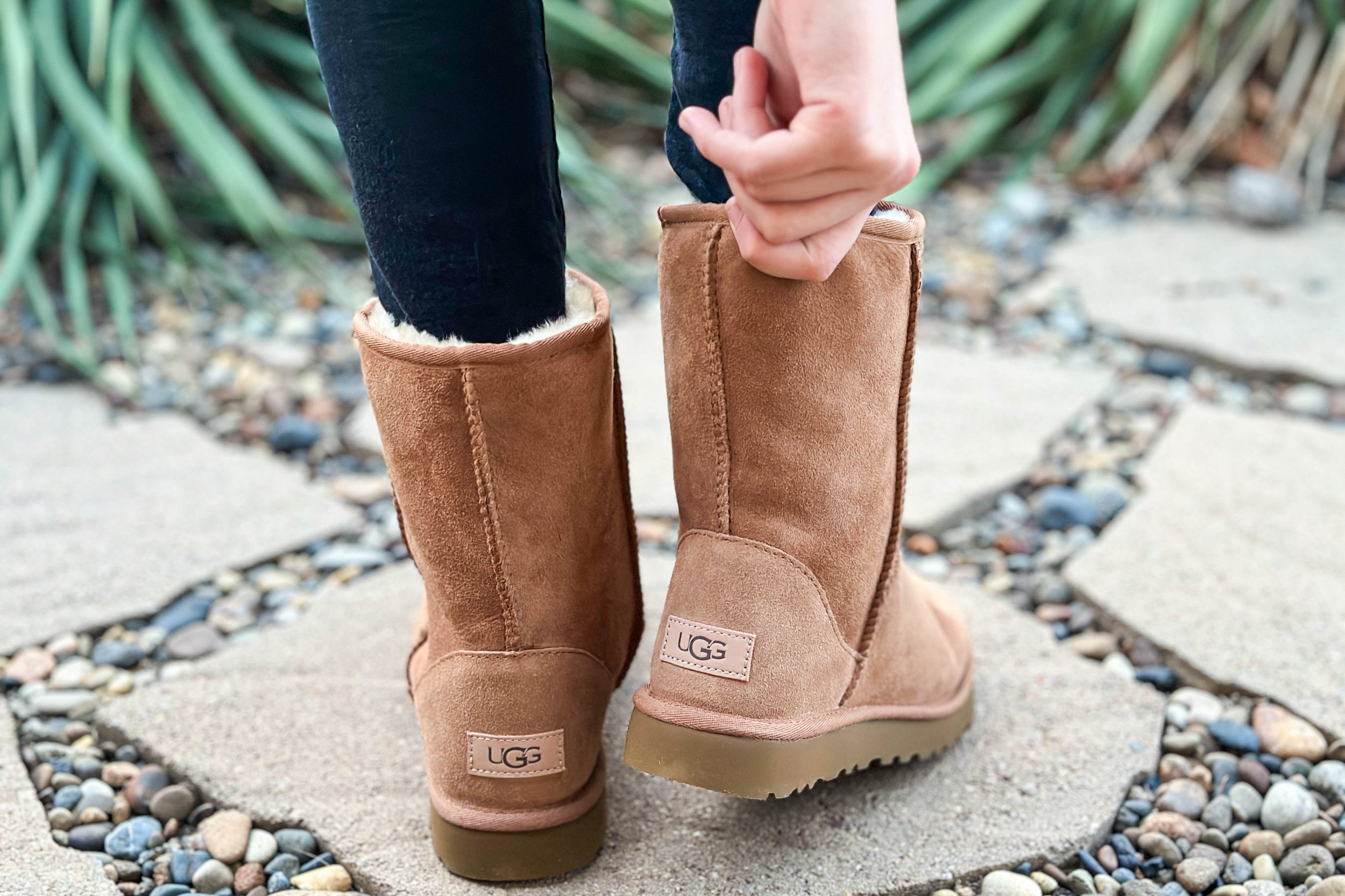 ugg-boots-top23-3.jpg