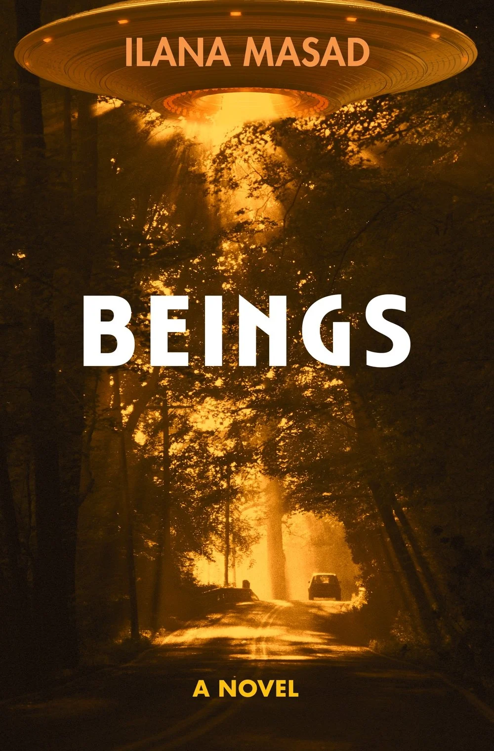 Sunny's Bookshop | Beings by Ilana Masad | books
