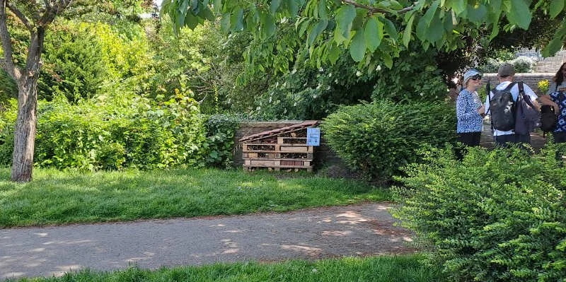 InsectHotel_far.jpg